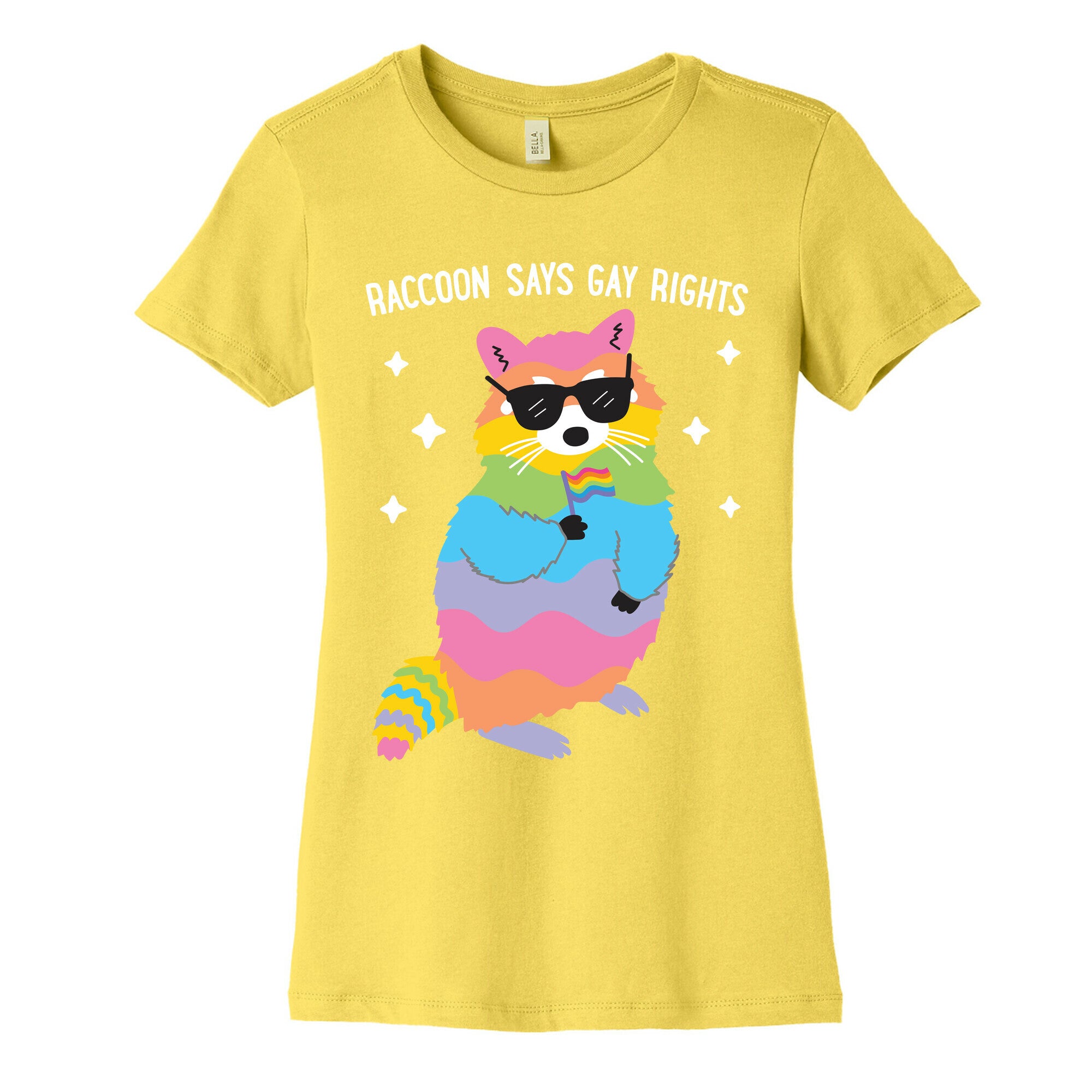 Raccoon Says Gay Rights Women's Cotton Tee