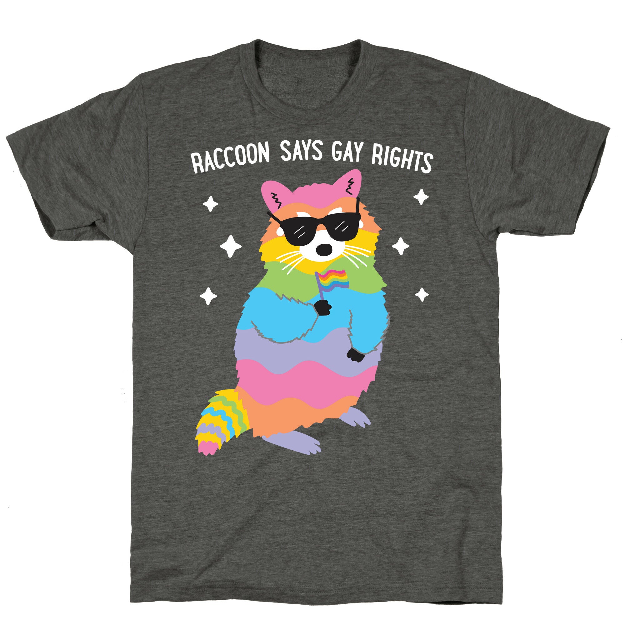 Raccoon Says Gay Rights Unisex Triblend Tee