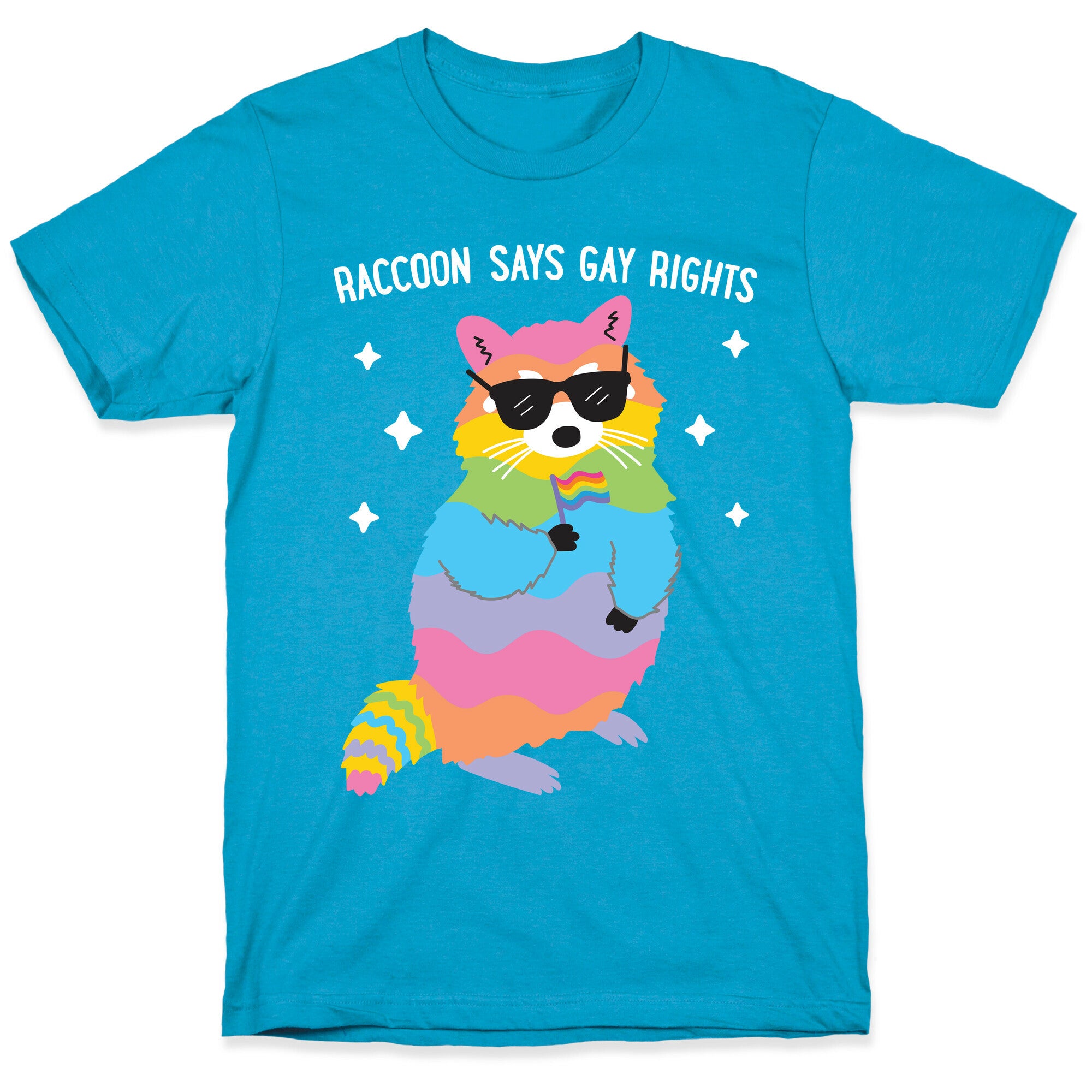 Raccoon Says Gay Rights Unisex Triblend Tee