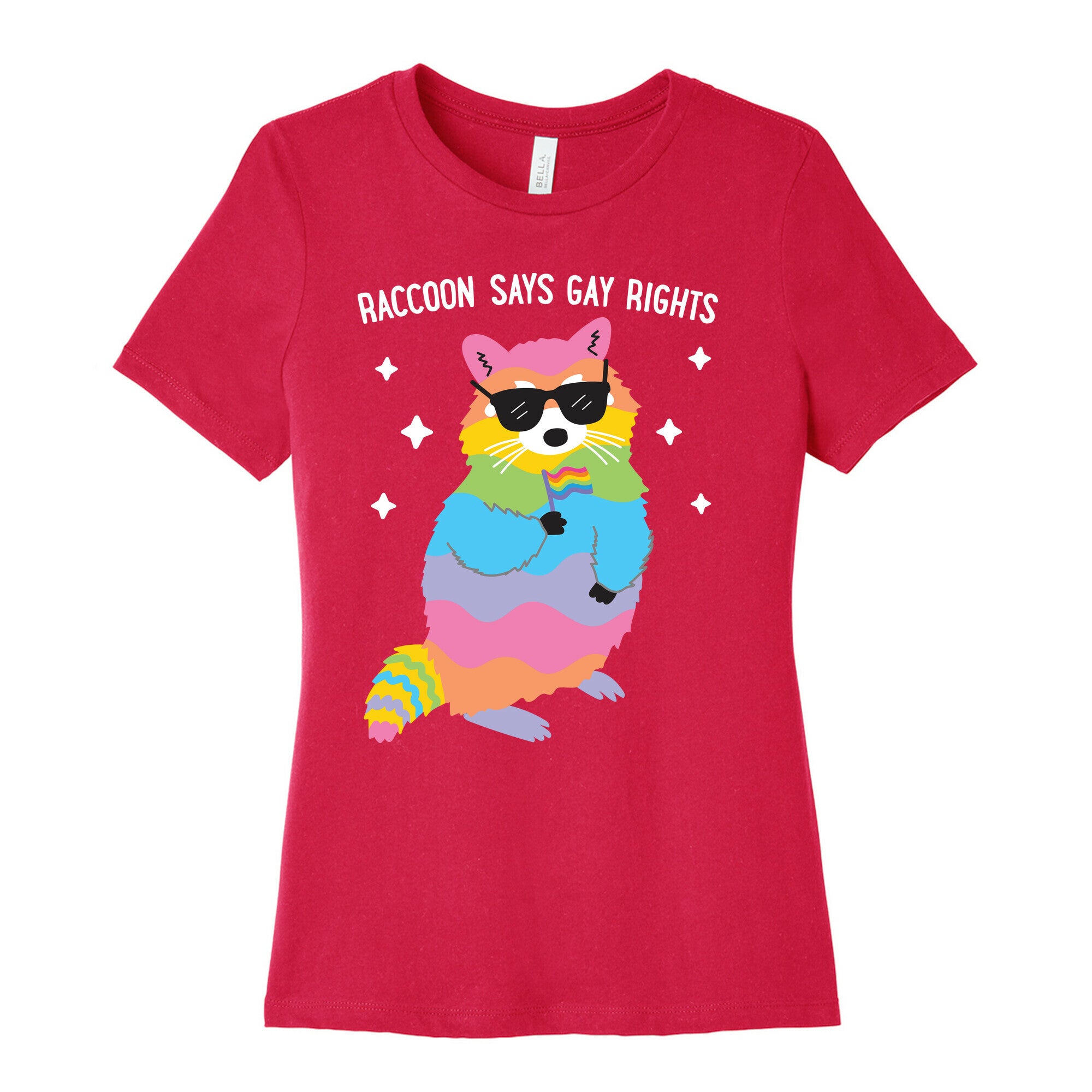 Raccoon Says Gay Rights Women's Cotton Tee