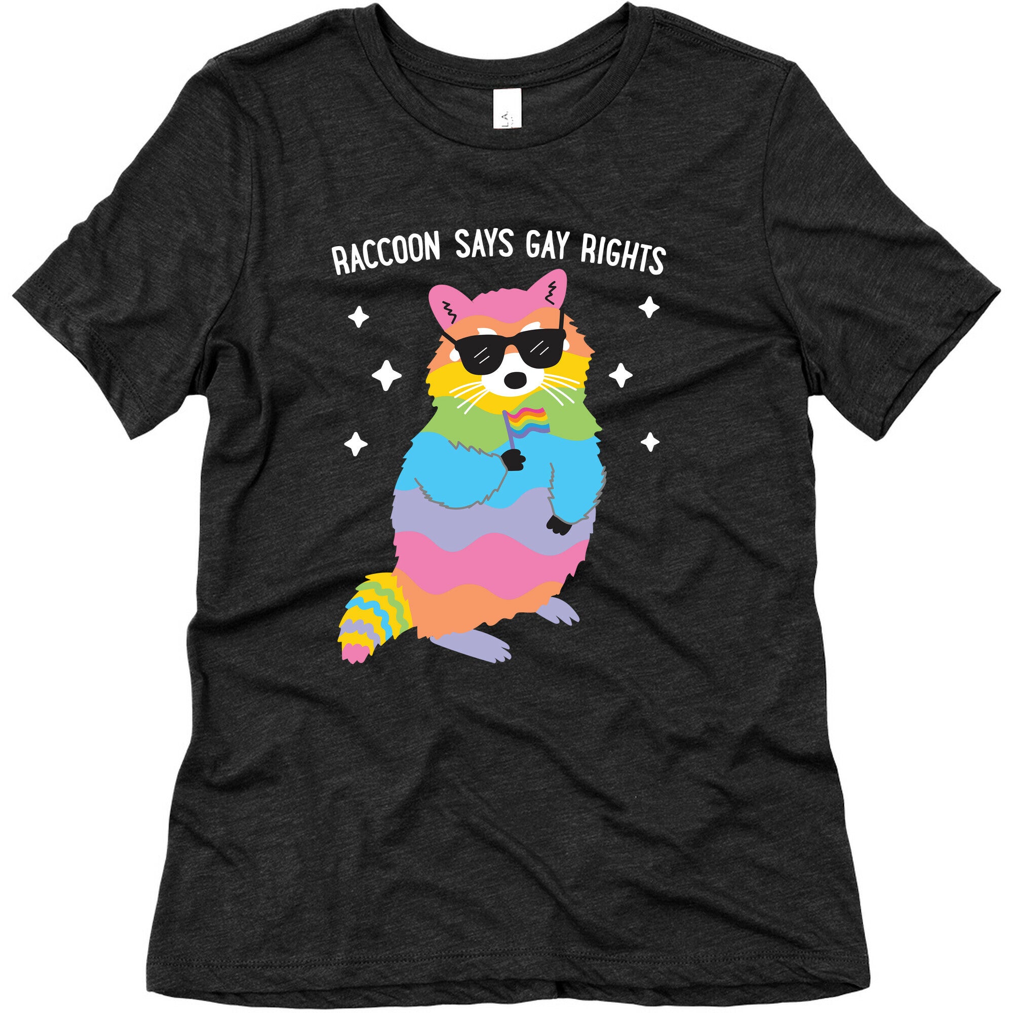 Raccoon Says Gay Rights Women's Triblend Tee
