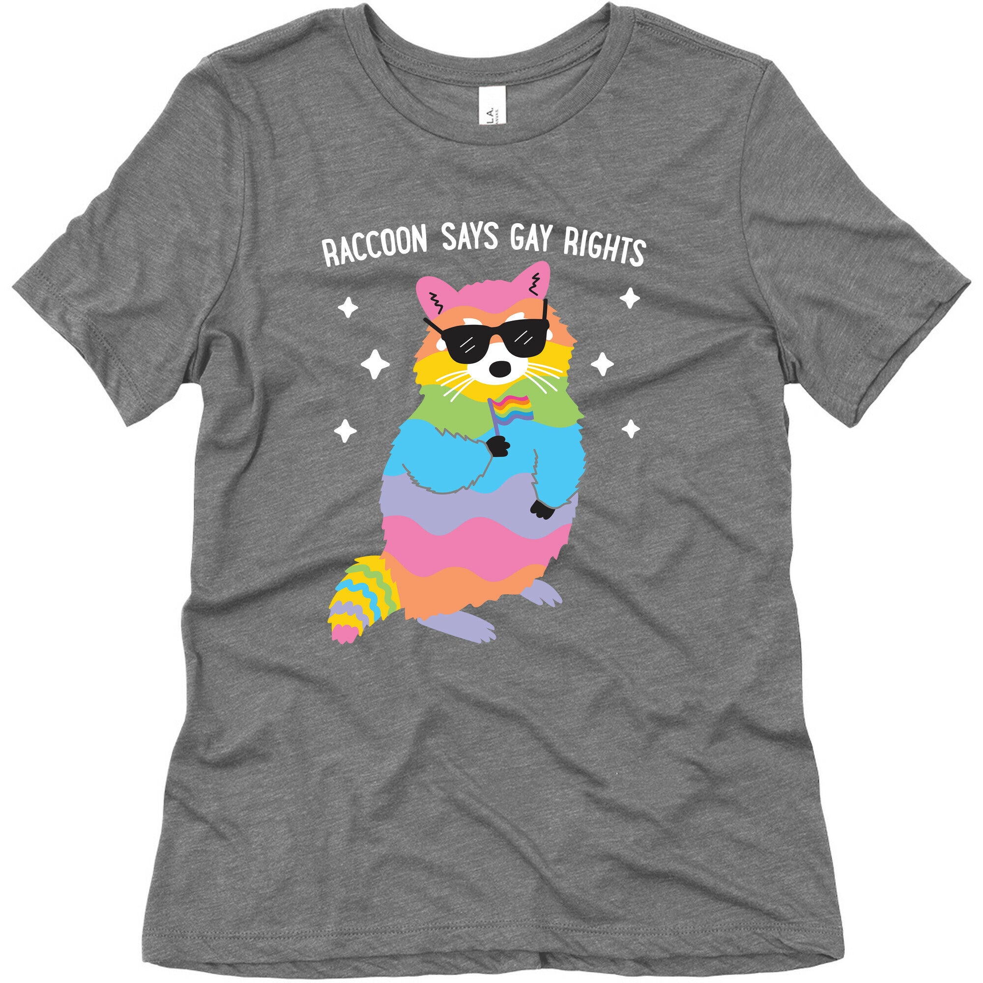 Raccoon Says Gay Rights Women's Triblend Tee