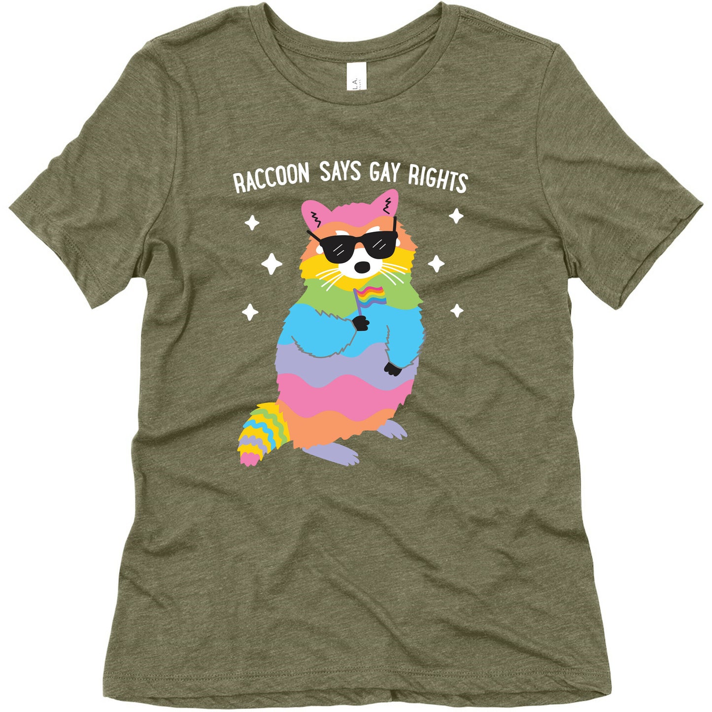 Raccoon Says Gay Rights Women's Triblend Tee