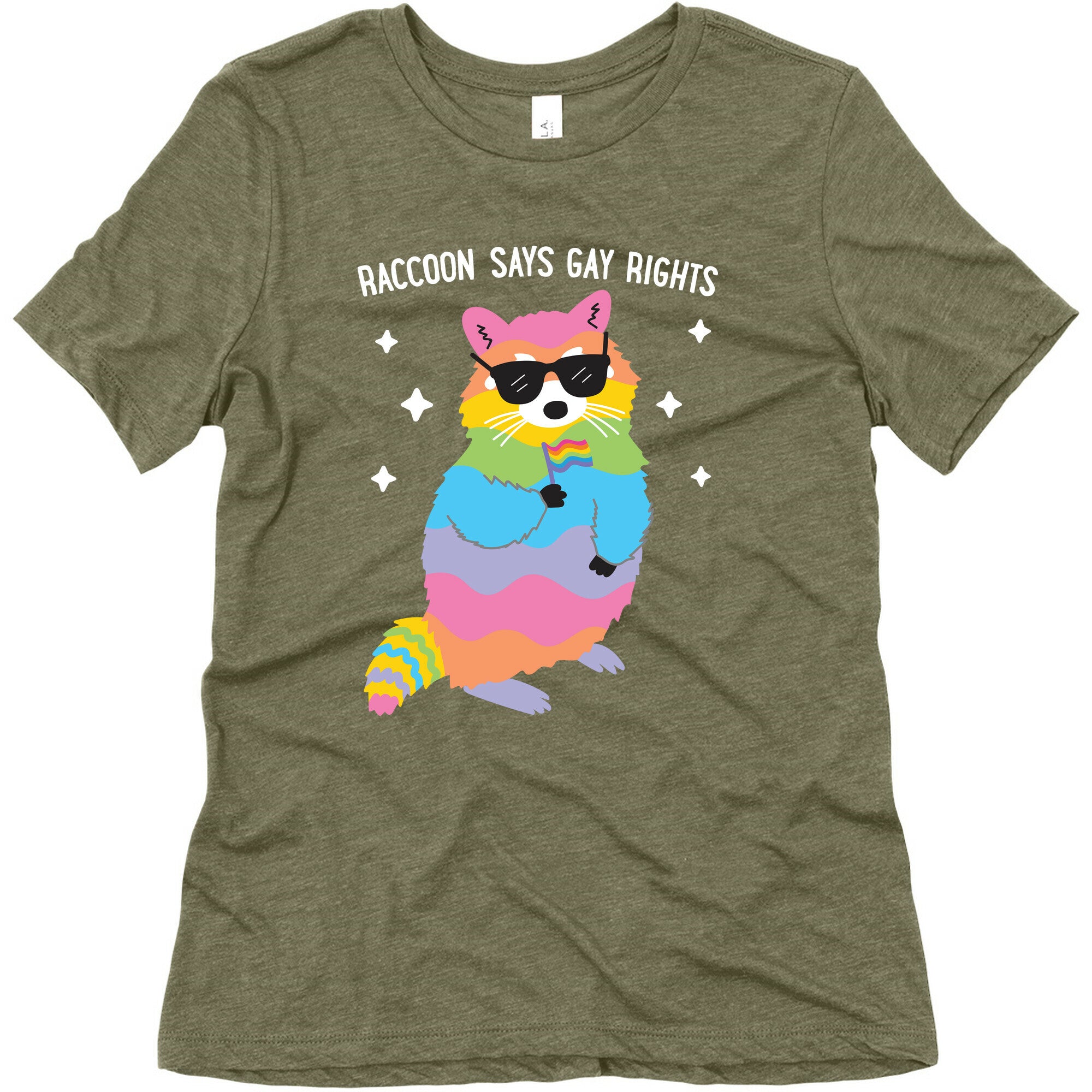 Raccoon Says Gay Rights Women's Triblend Tee