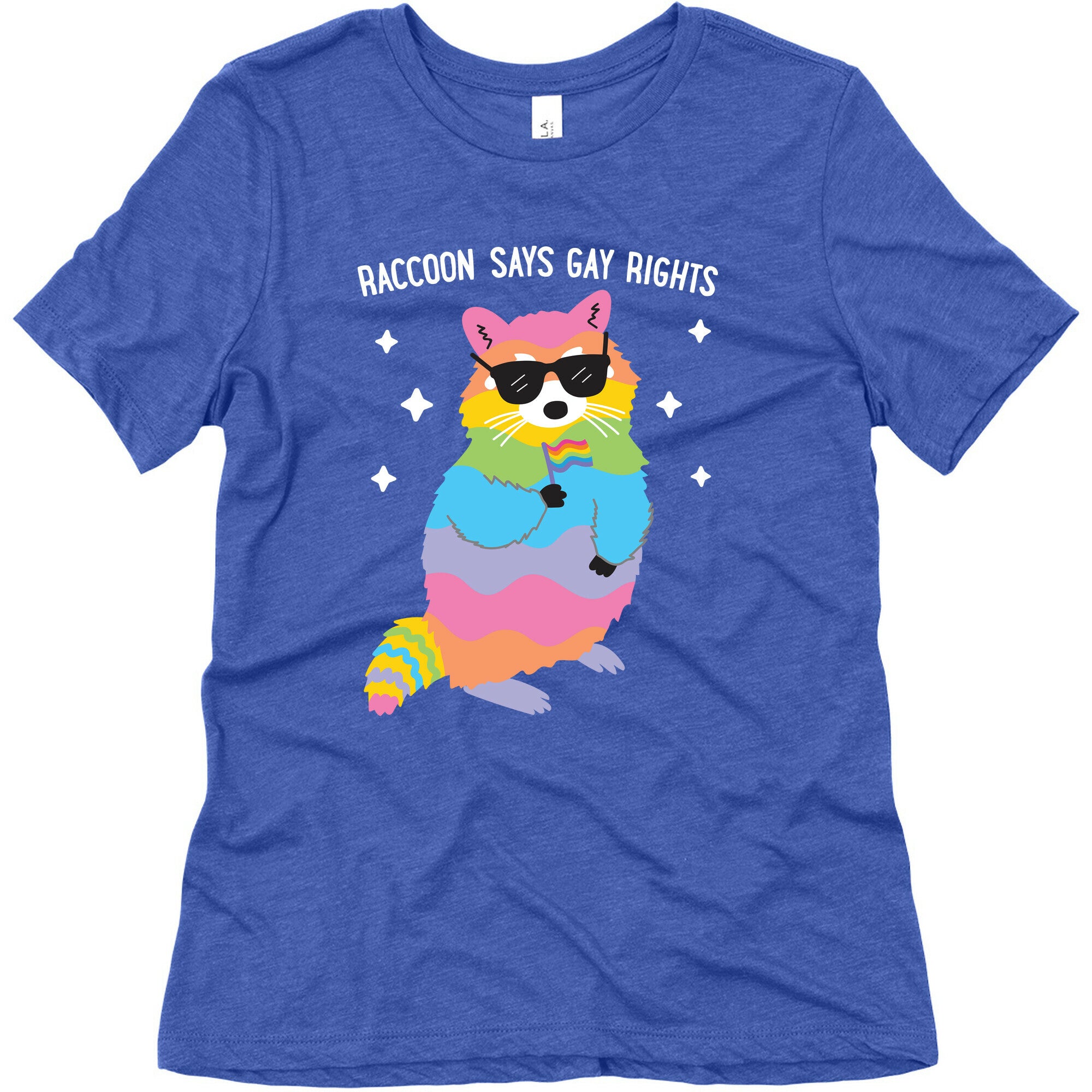 Raccoon Says Gay Rights Women's Triblend Tee