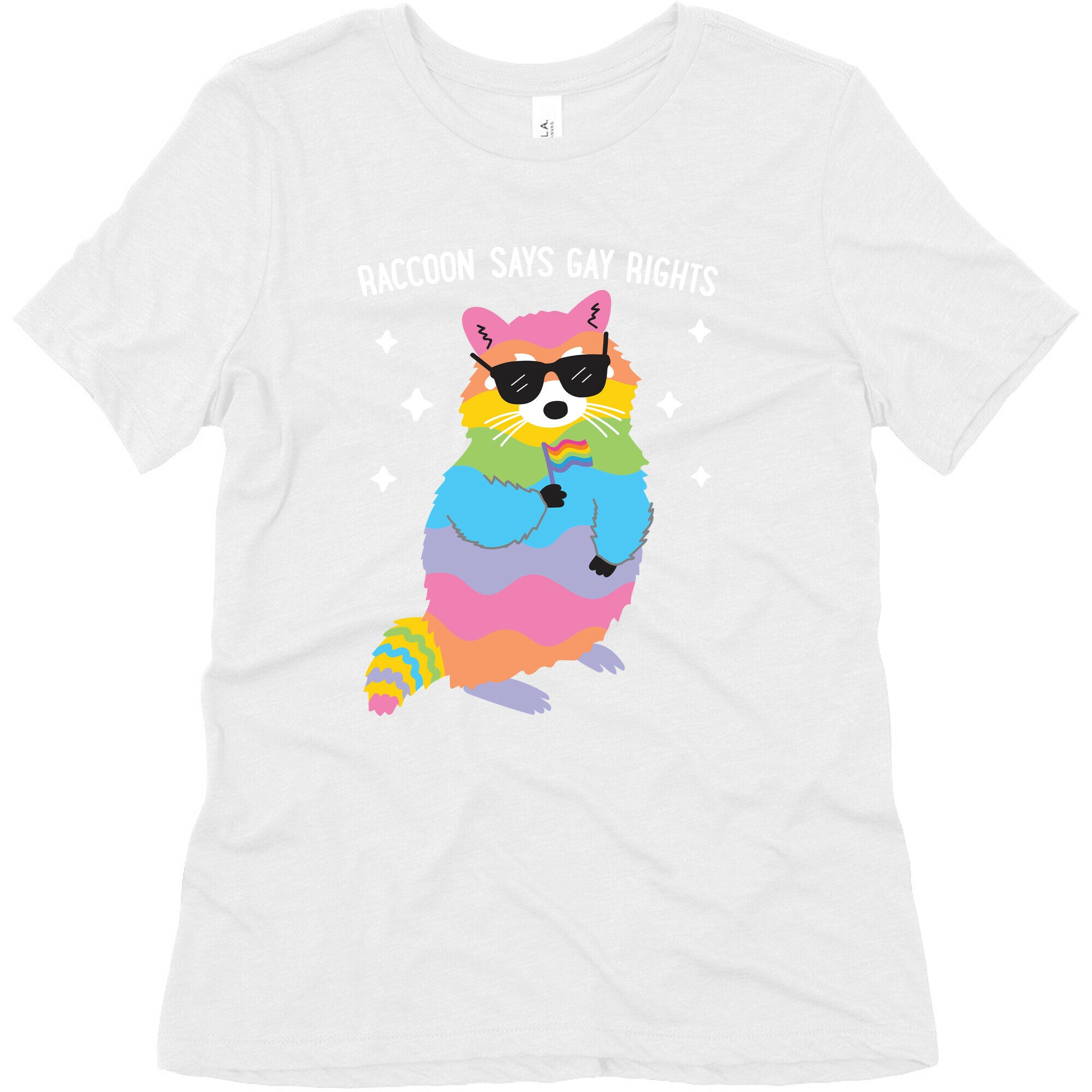 Raccoon Says Gay Rights Women's Triblend Tee