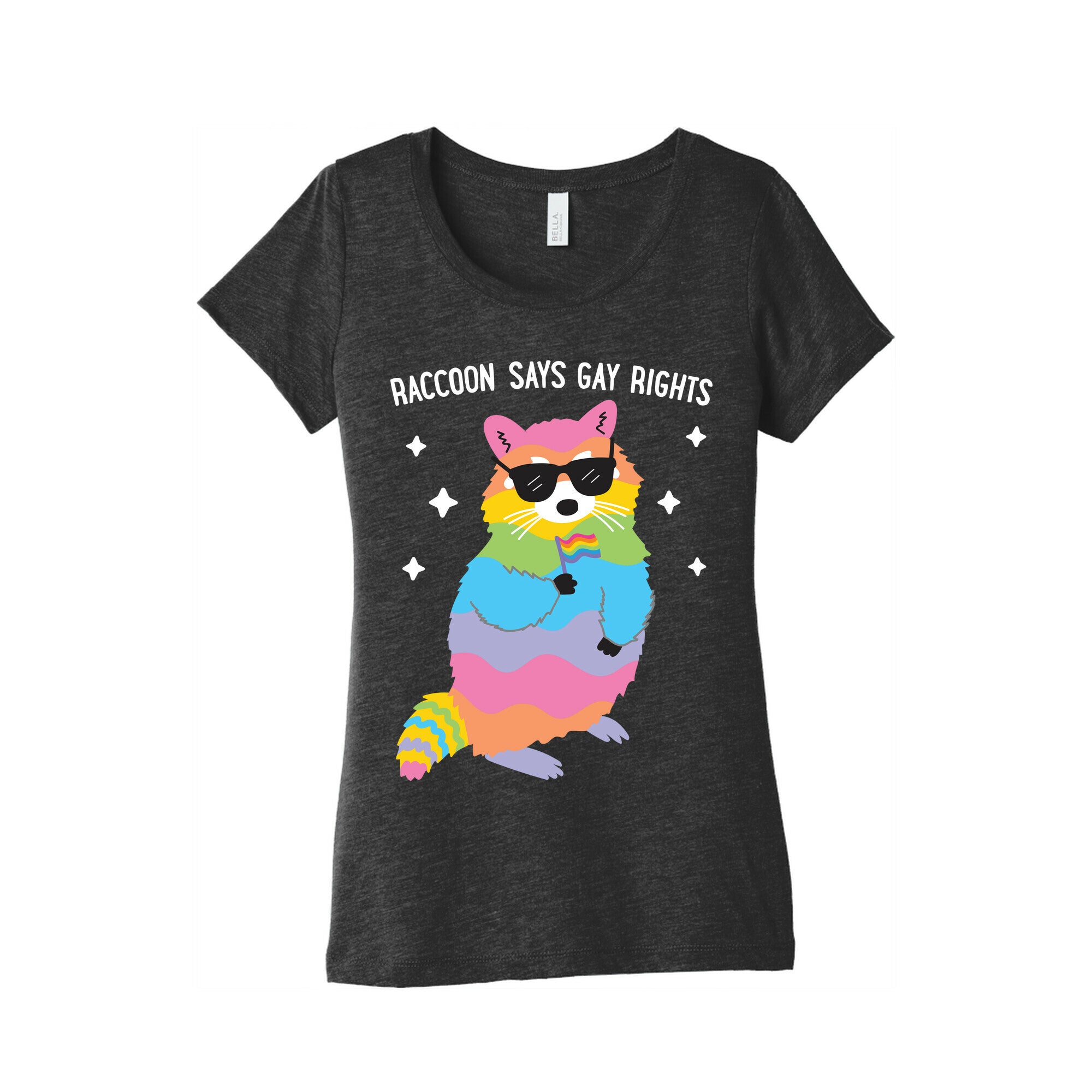 Raccoon Says Gay Rights Women's Triblend Tee
