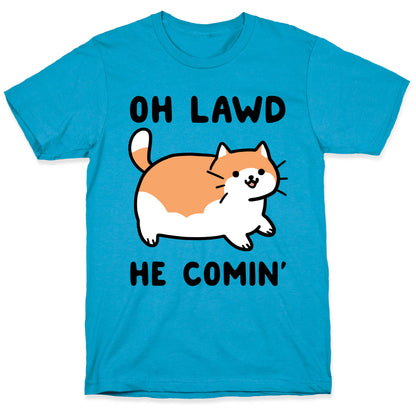 Oh Lawd, He Comin' Unisex Triblend Tee