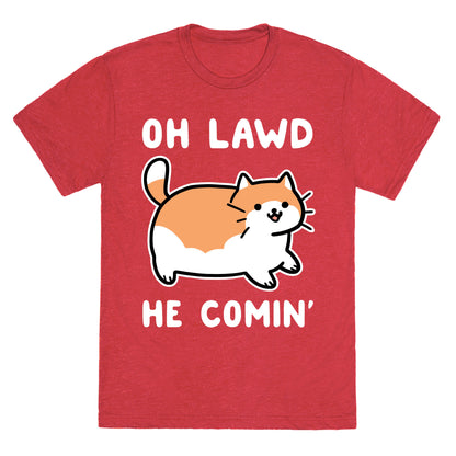 Oh Lawd, He Comin' Unisex Triblend Tee