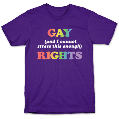 Gay (and I cannot stress this enough) Rights T-Shirt