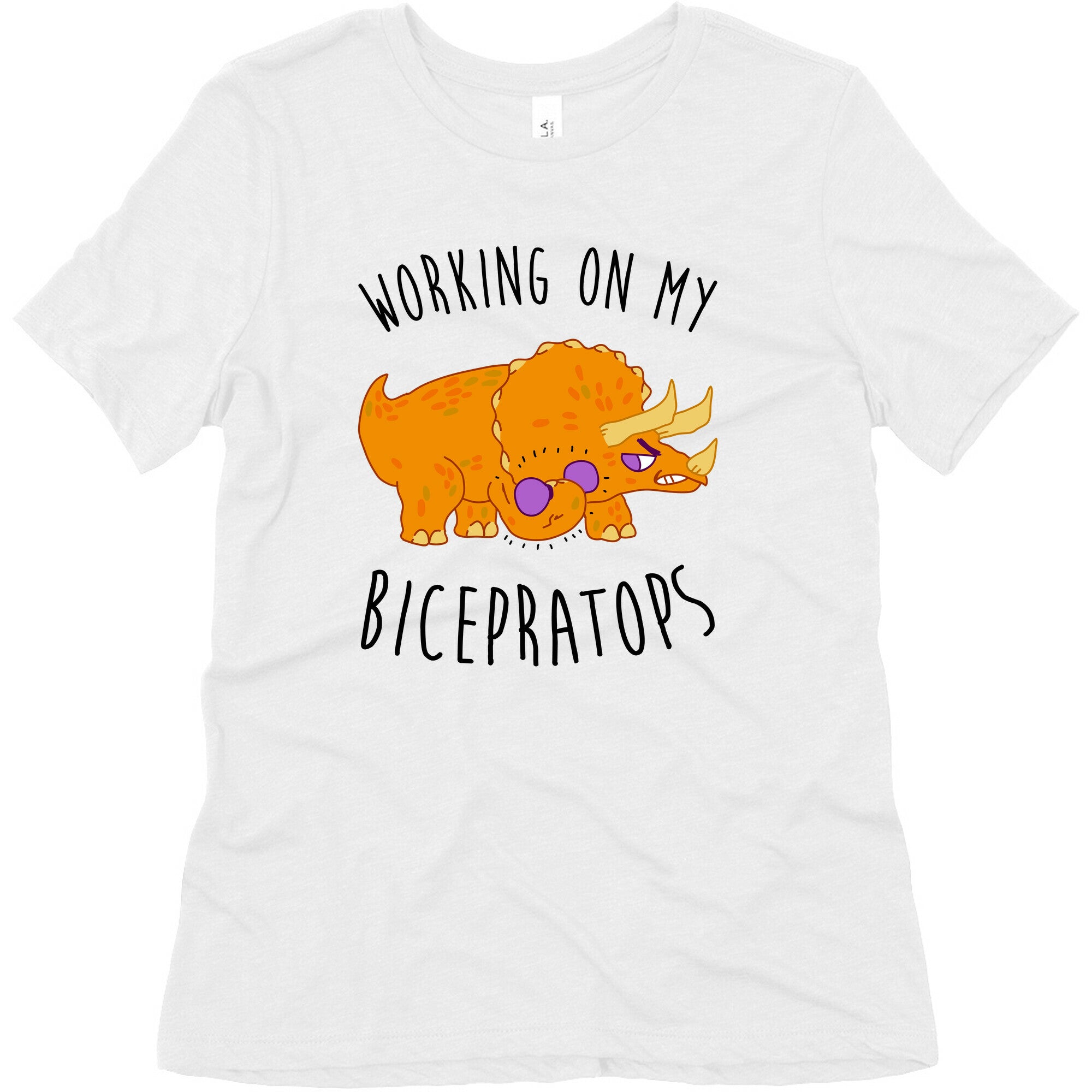 Working on My Bicepratops Women's Triblend Tee