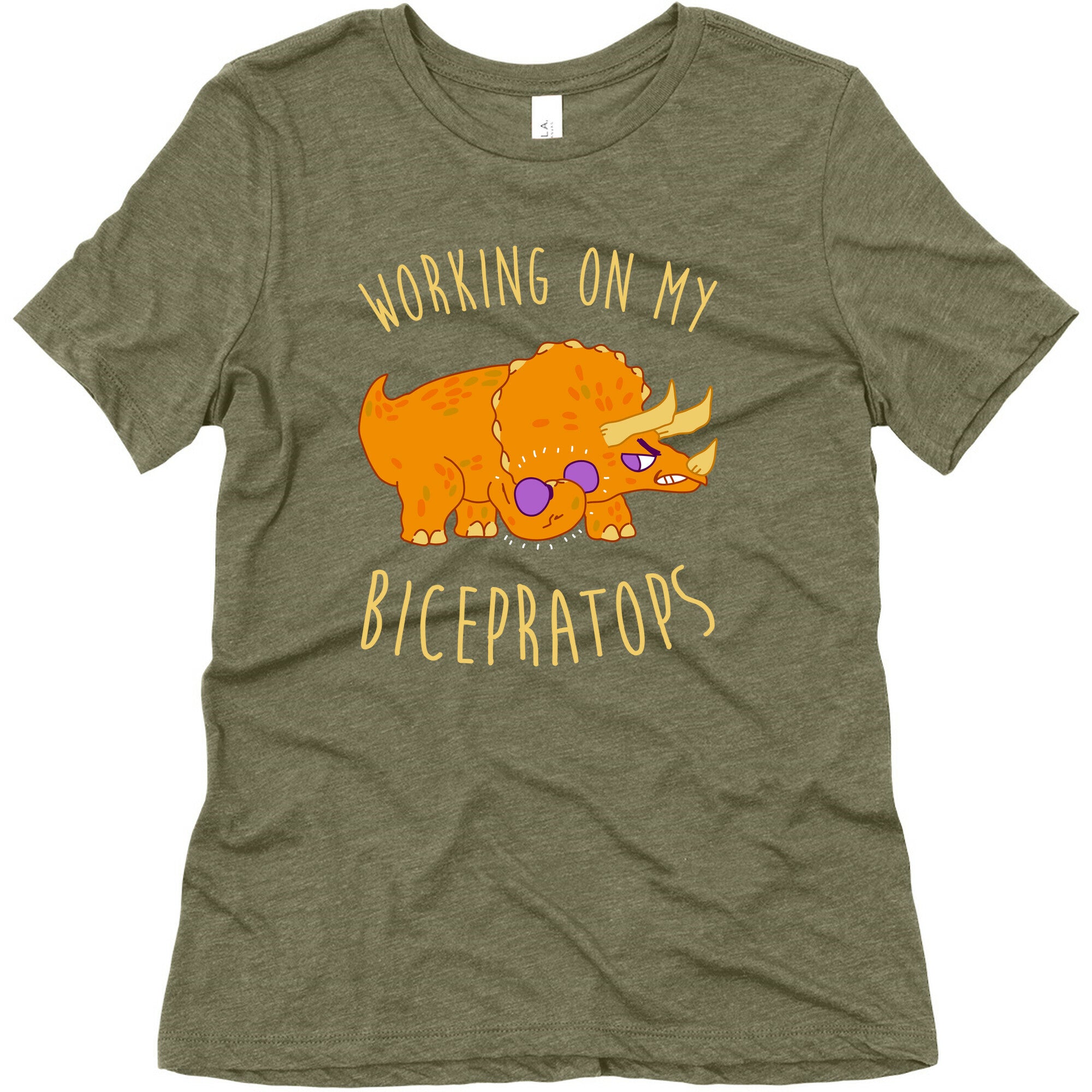 Working on My Bicepratops Women's Triblend Tee