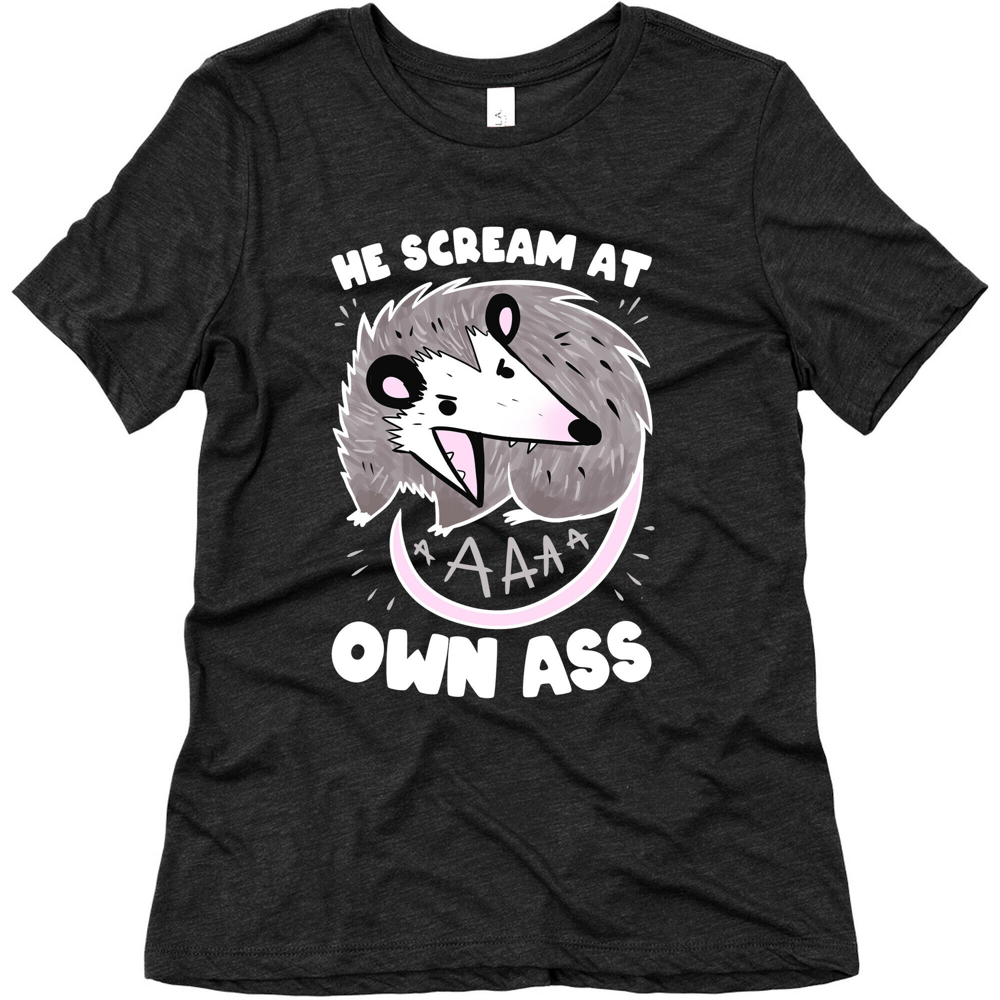 He Scream At Own Ass Women's Triblend Tee