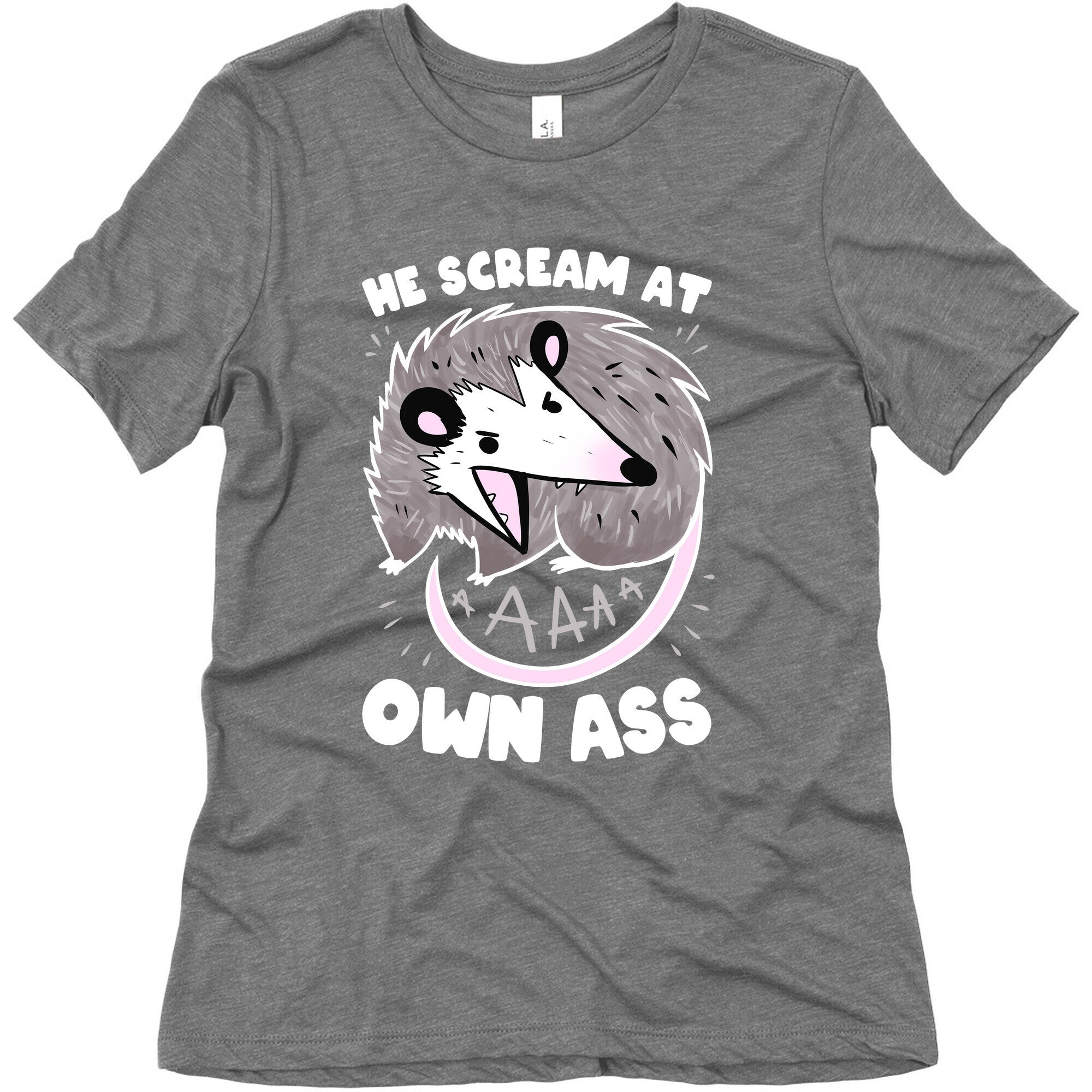 He Scream At Own Ass Women's Triblend Tee