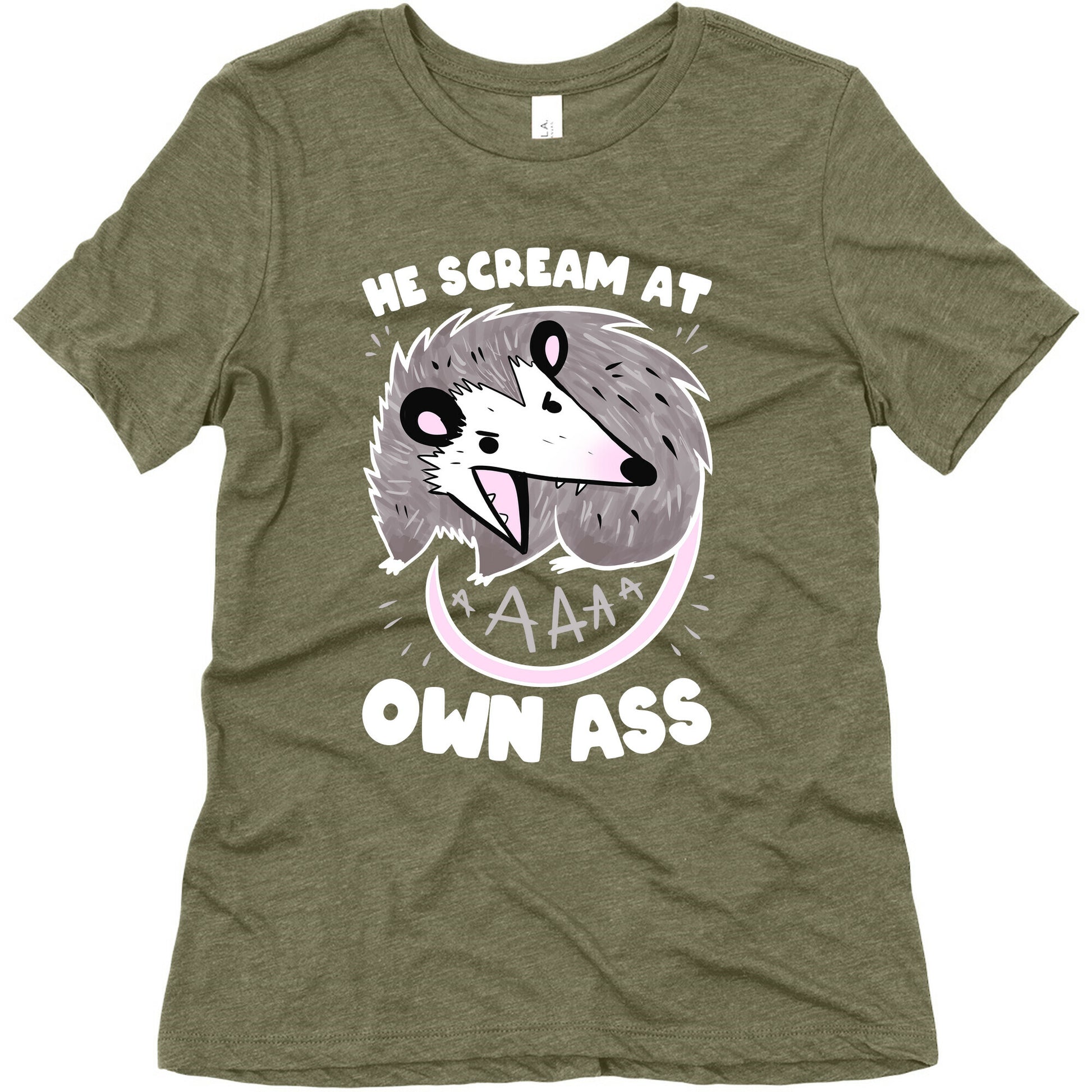 He Scream At Own Ass Women's Triblend Tee