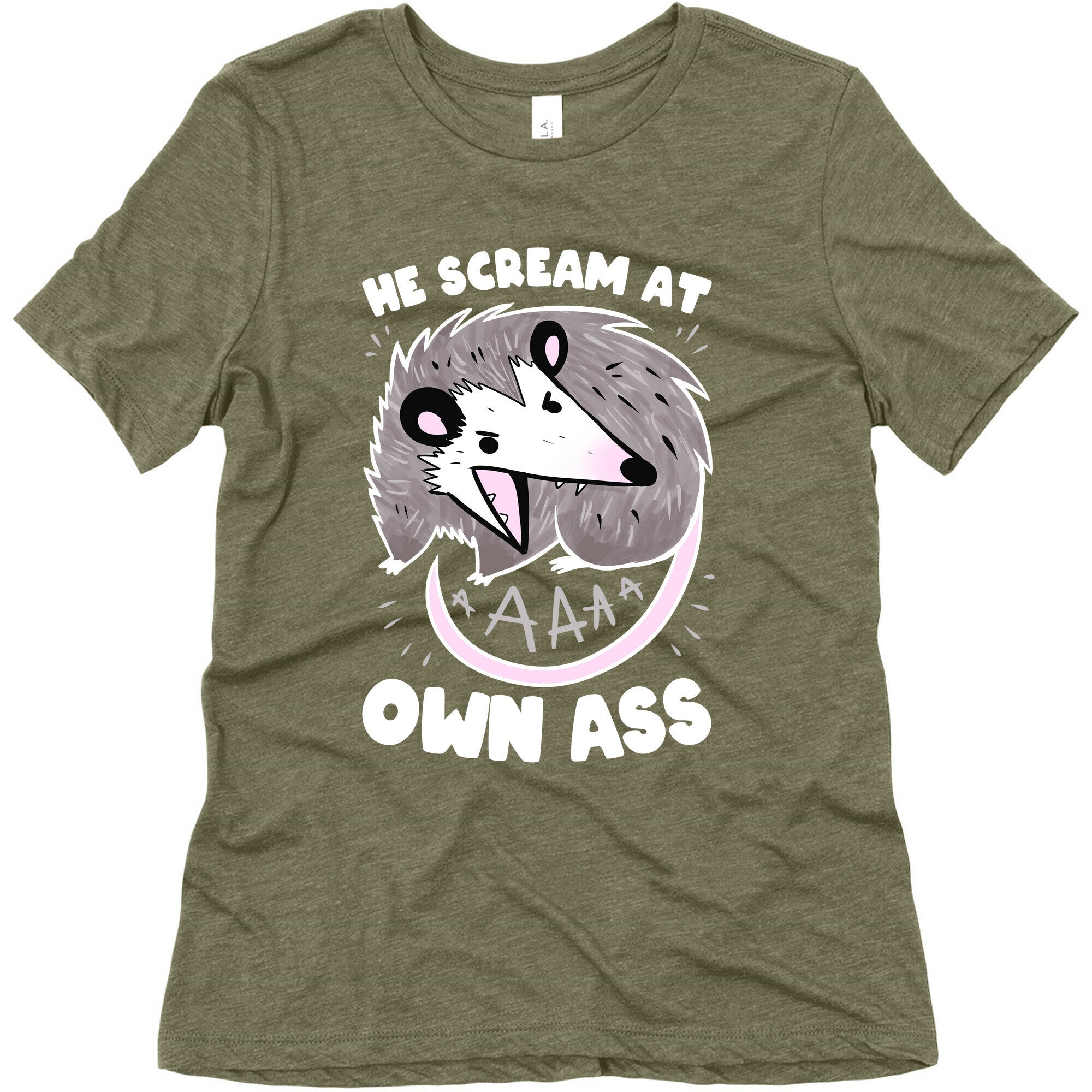 He Scream At Own Ass Women's Triblend Tee