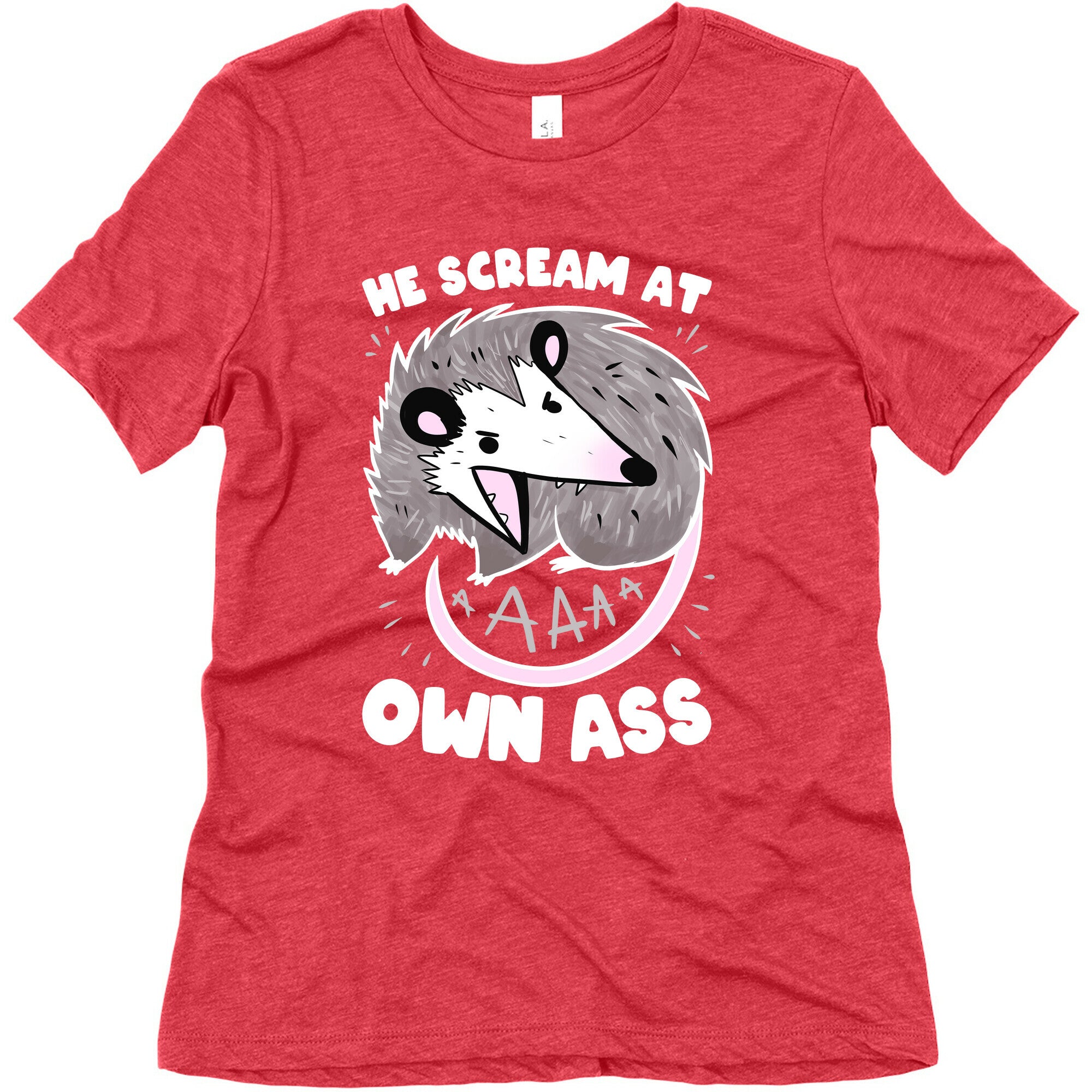He Scream At Own Ass Women's Triblend Tee