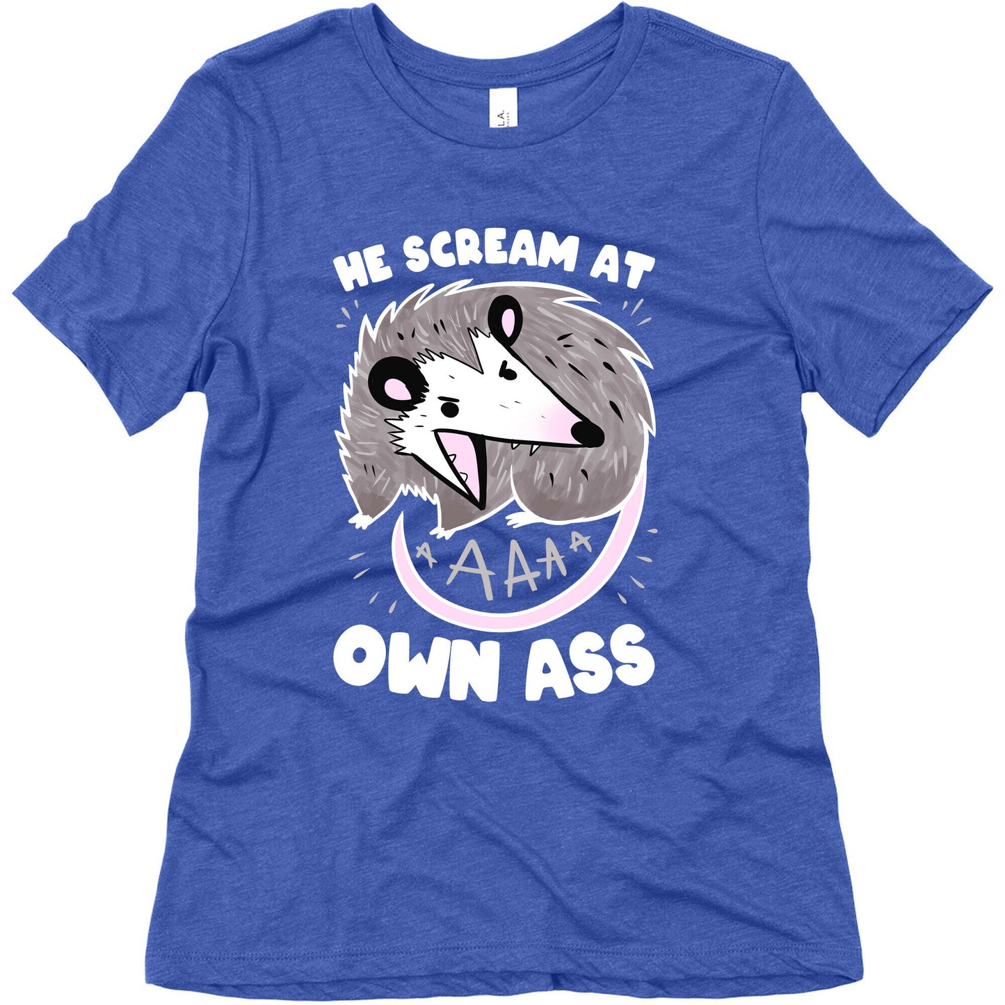 He Scream At Own Ass Women's Triblend Tee