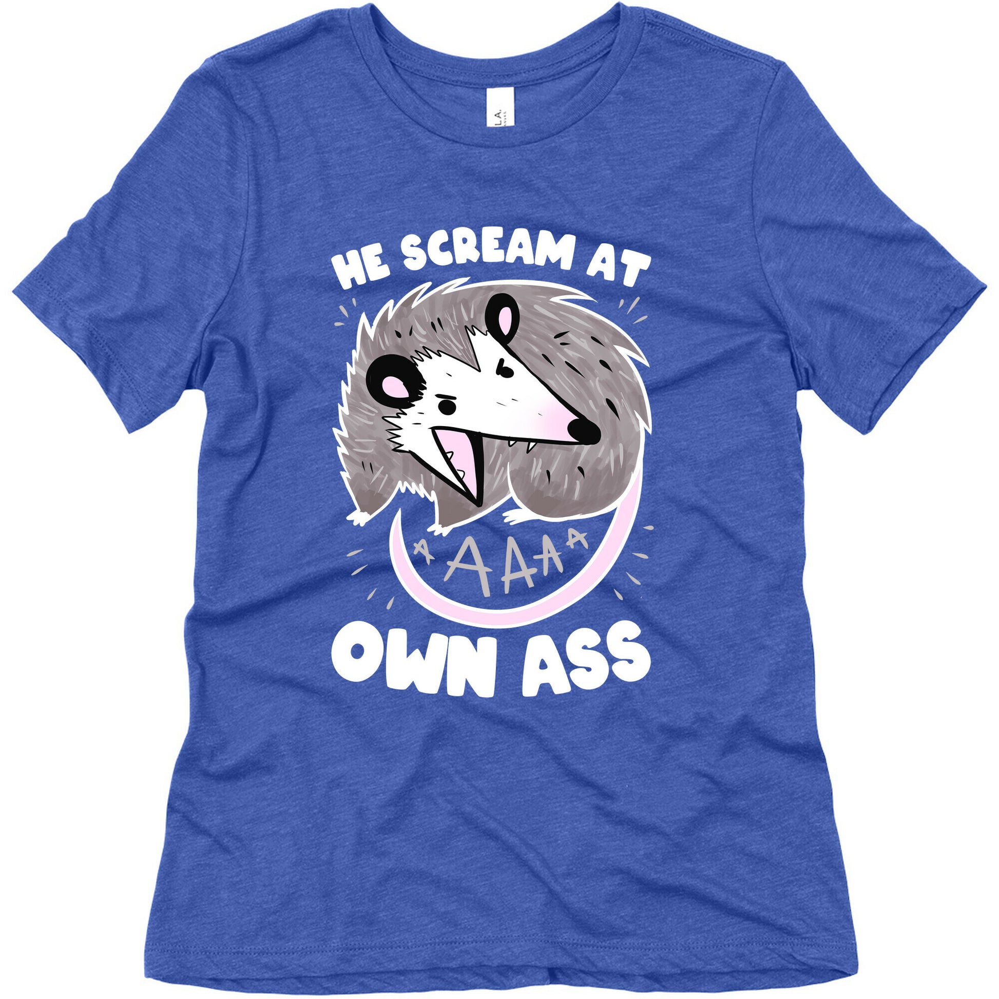 He Scream At Own Ass Women's Triblend Tee