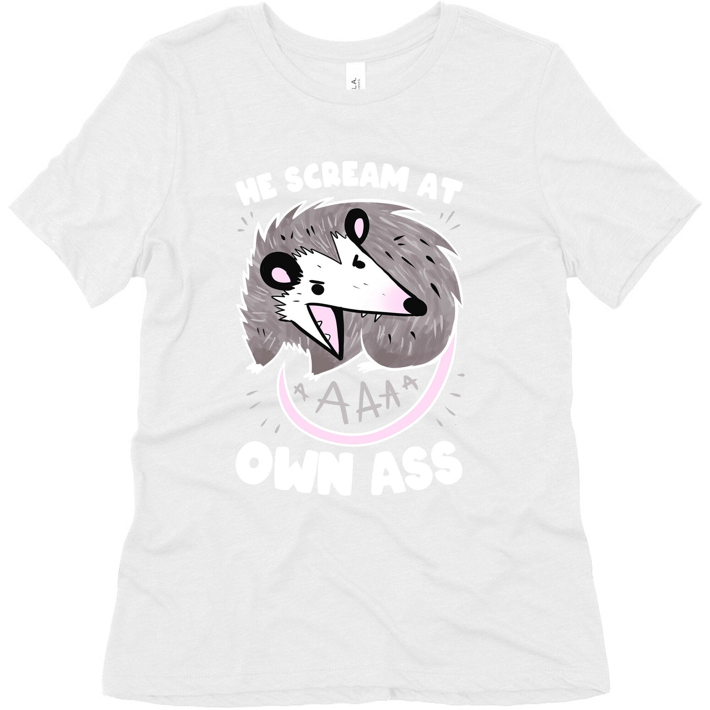 He Scream At Own Ass Women's Triblend Tee