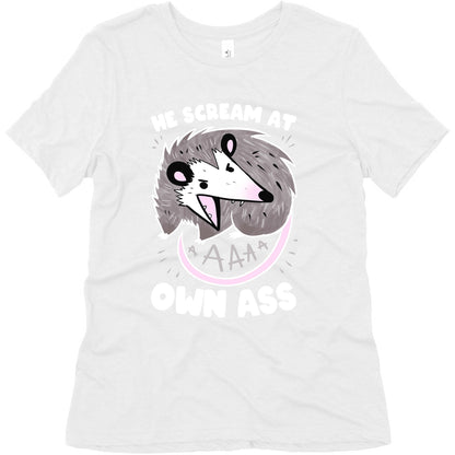 He Scream At Own Ass Women's Triblend Tee