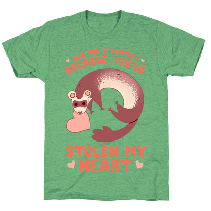 Are You A Ferret? Because You've Stolen My Heart Unisex Triblend Tee