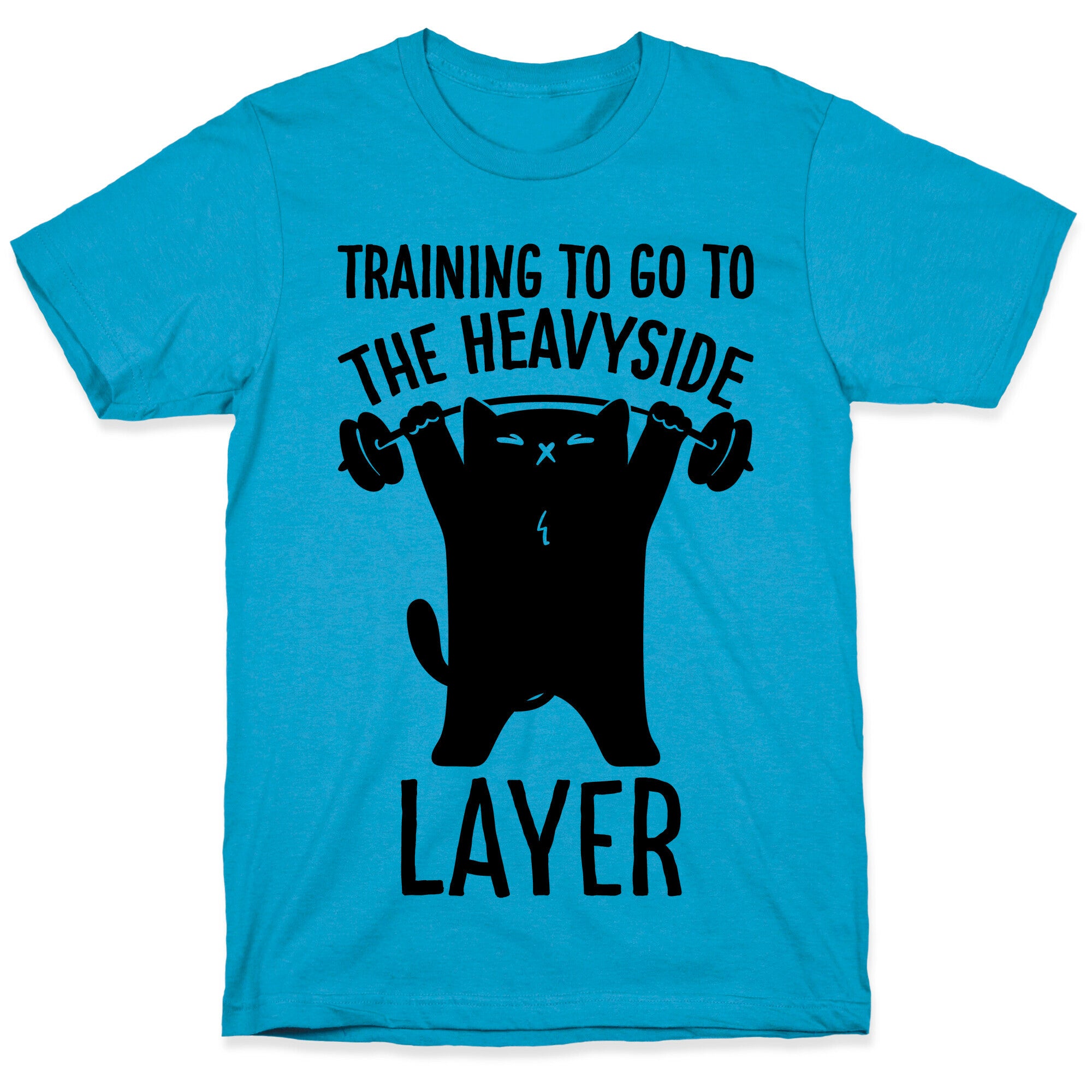 Training To Go To The Heavyside Layer Parody Unisex Triblend Tee