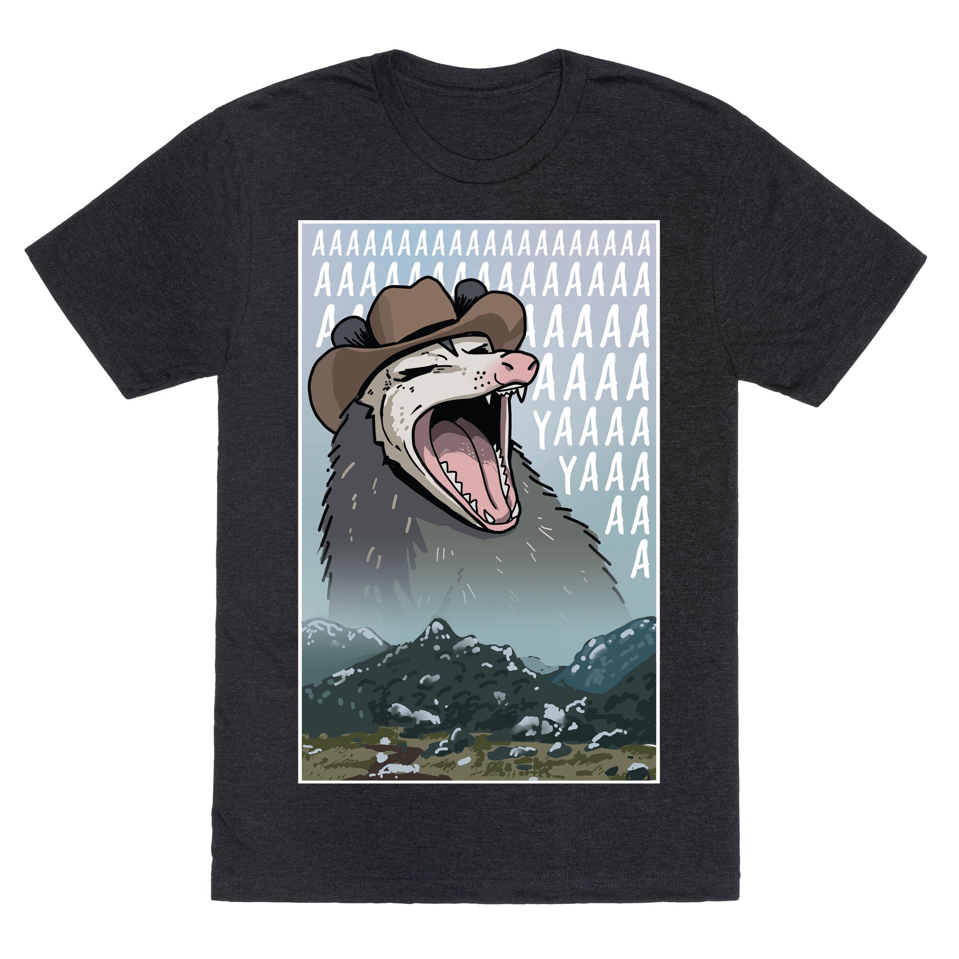 Big Enough Possum  Unisex Triblend Tee