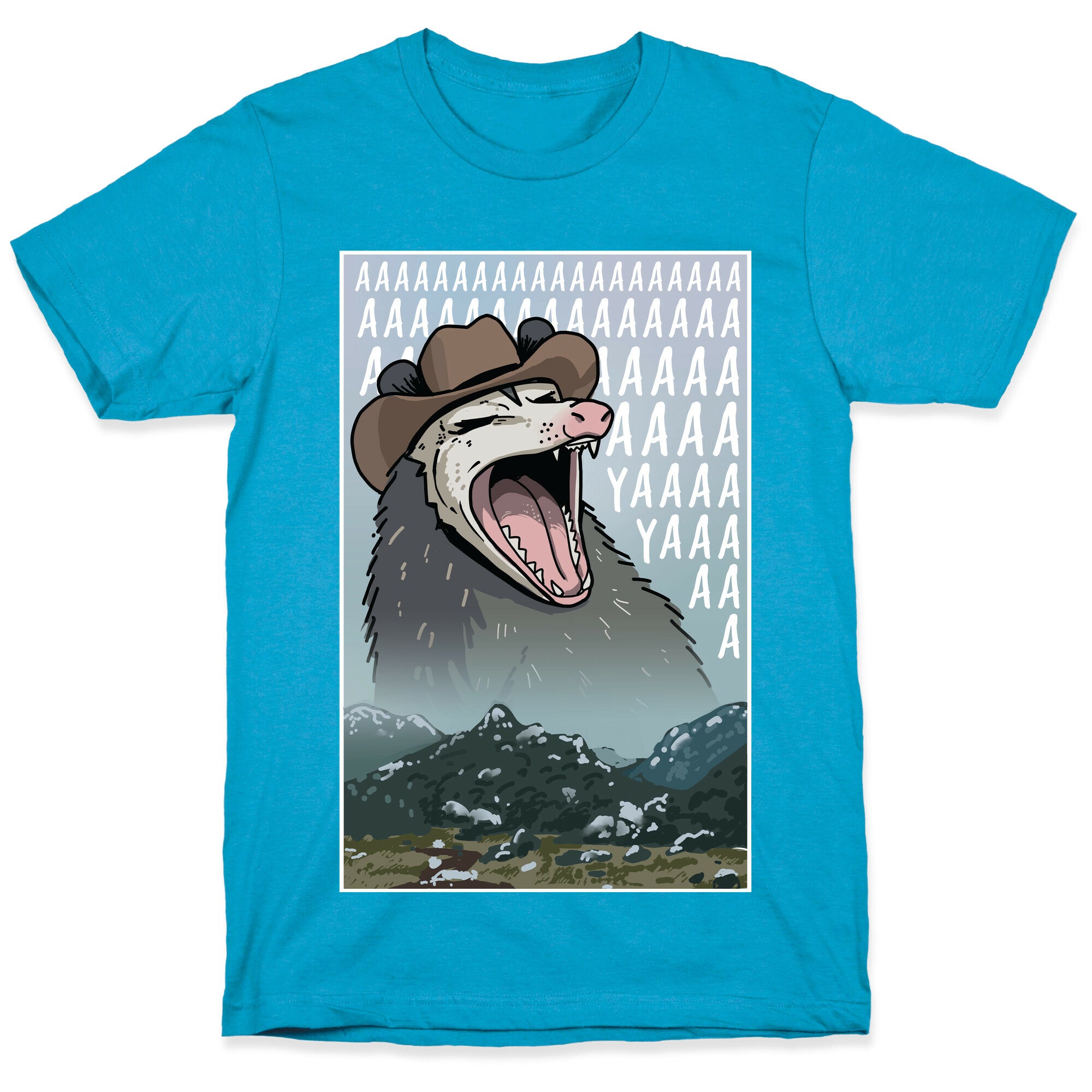 Big Enough Possum  Unisex Triblend Tee