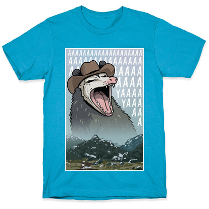 Big Enough Possum  Unisex Triblend Tee