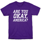 Are You Okay, America? T-Shirt