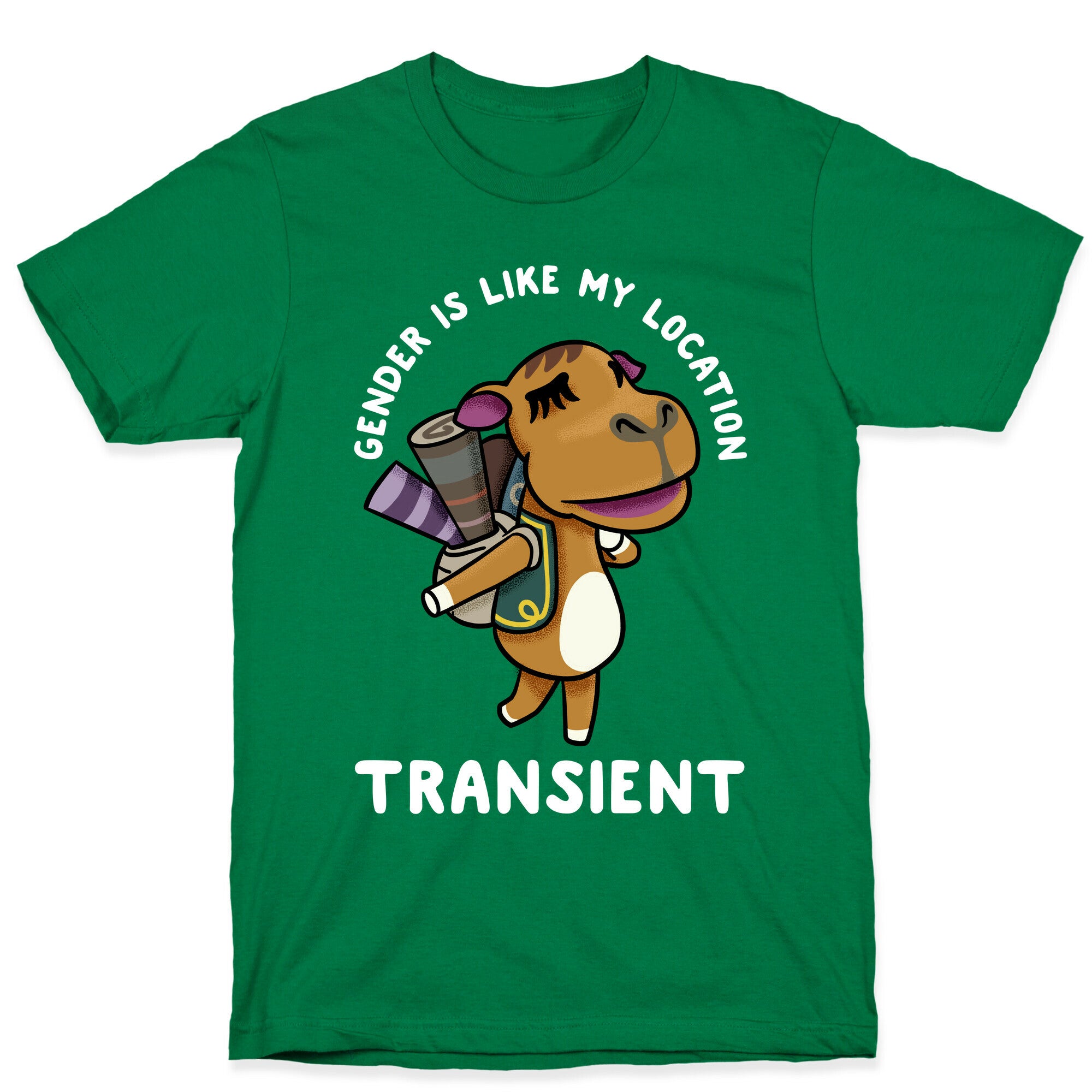 Gender is Like My Location Transient Sahara T-Shirt