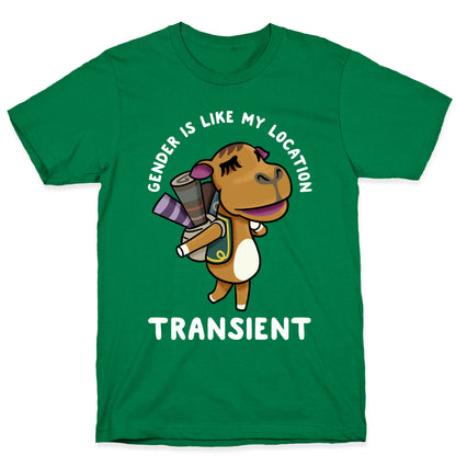 Gender is Like My Location Transient Sahara T-Shirt