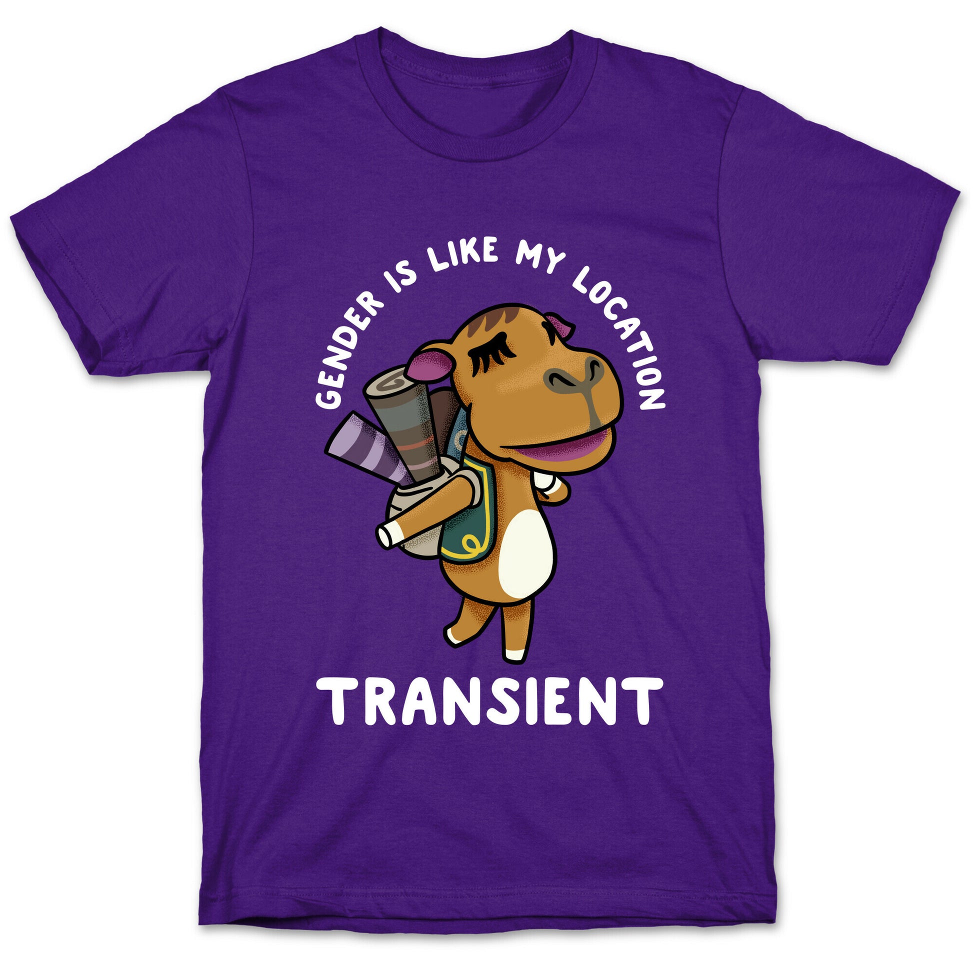 Gender is Like My Location Transient Sahara T-Shirt
