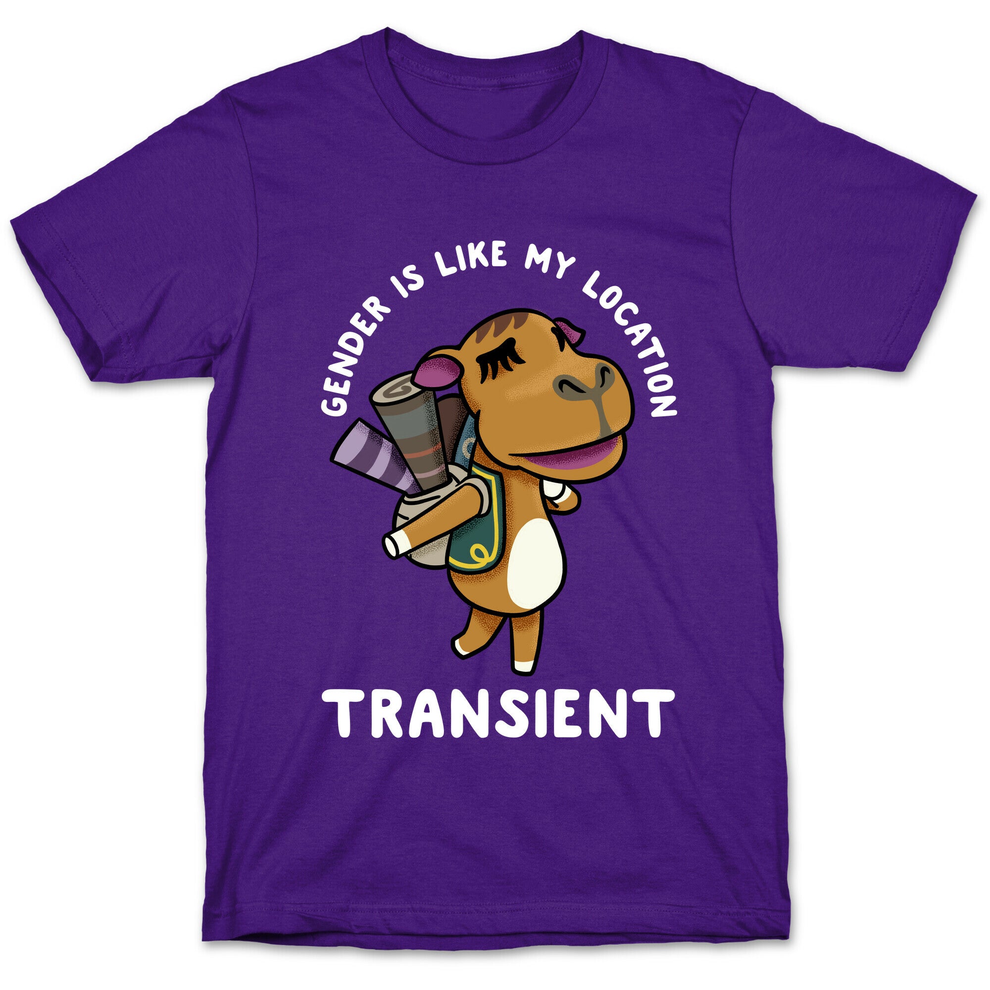 Gender is Like My Location Transient Sahara T-Shirt