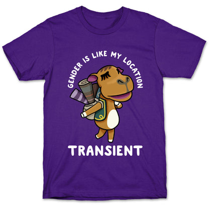 Gender is Like My Location Transient Sahara T-Shirt