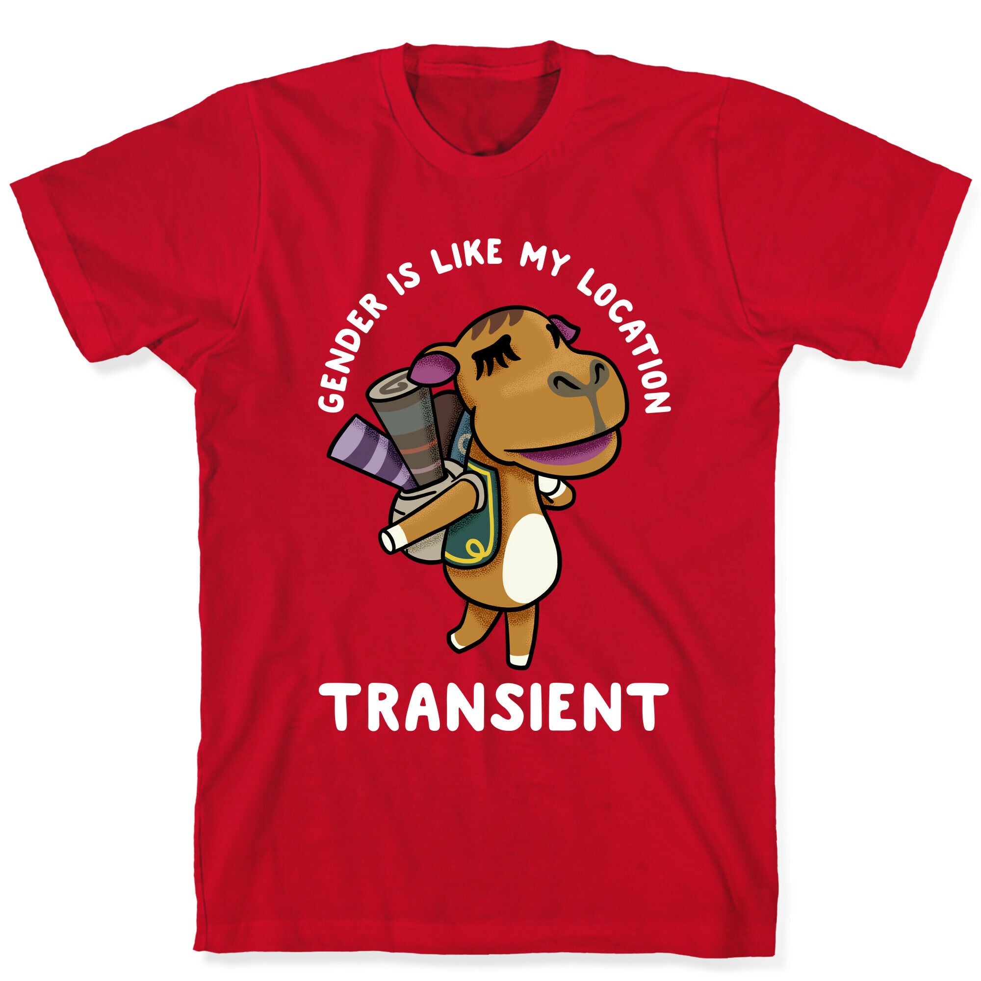 Gender is Like My Location Transient Sahara T-Shirt