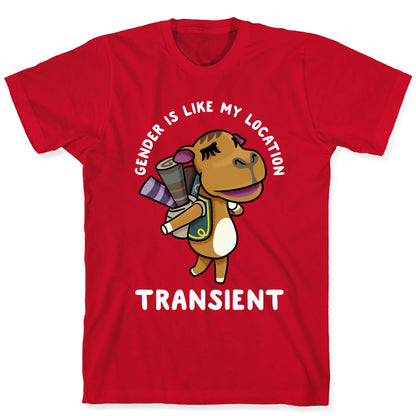 Gender is Like My Location Transient Sahara T-Shirt