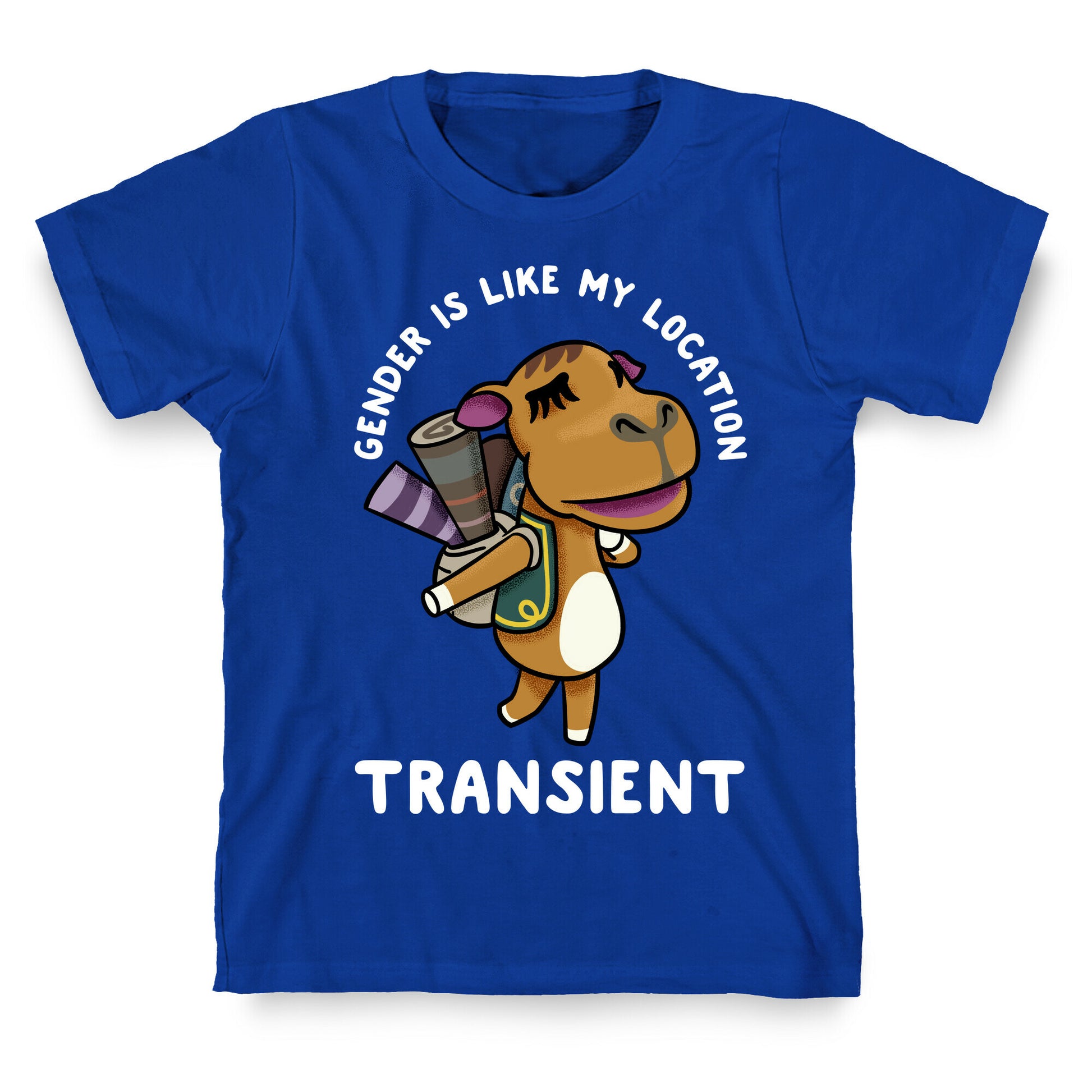Gender is Like My Location Transient Sahara T-Shirt