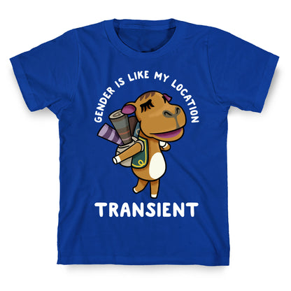 Gender is Like My Location Transient Sahara T-Shirt