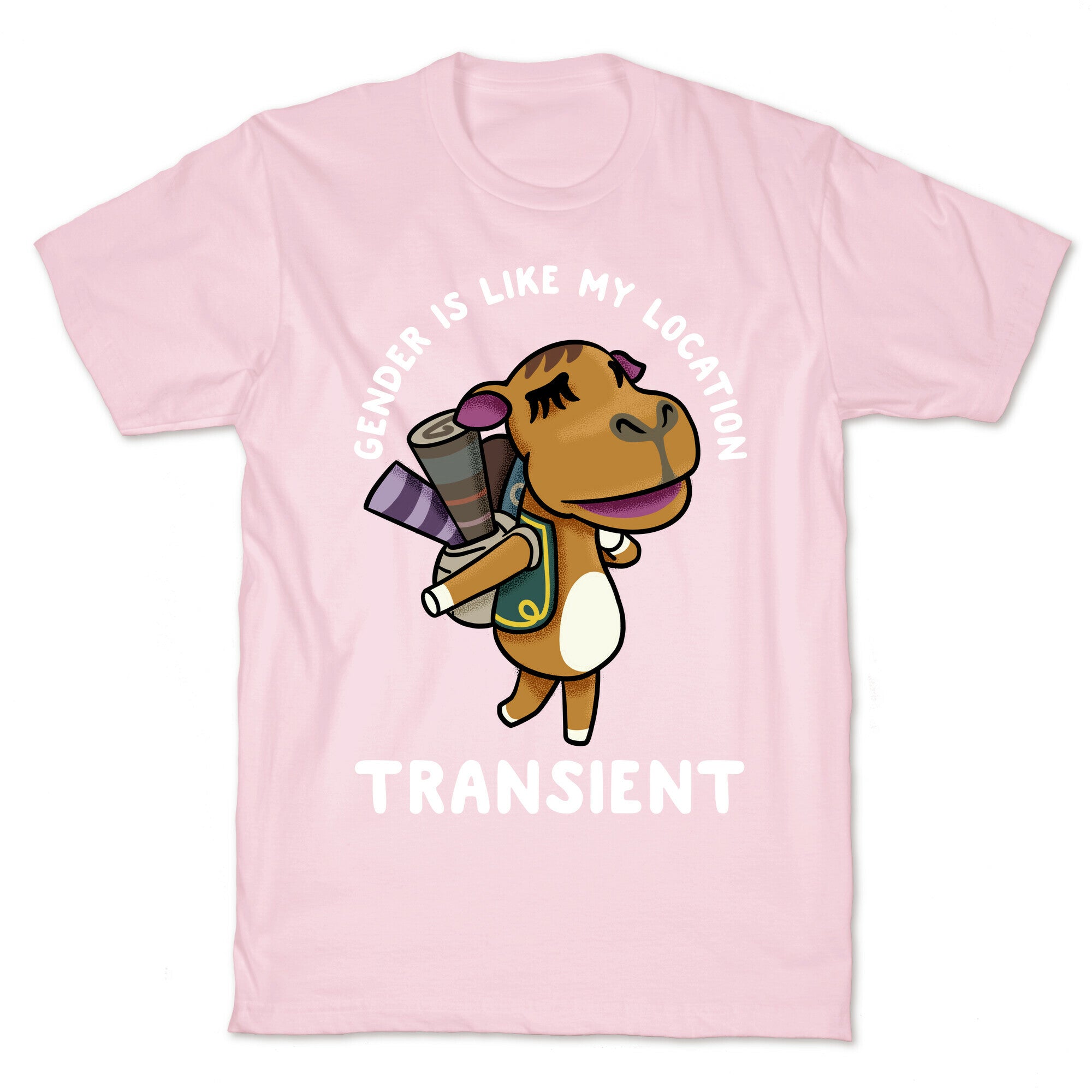 Gender is Like My Location Transient Sahara T-Shirt
