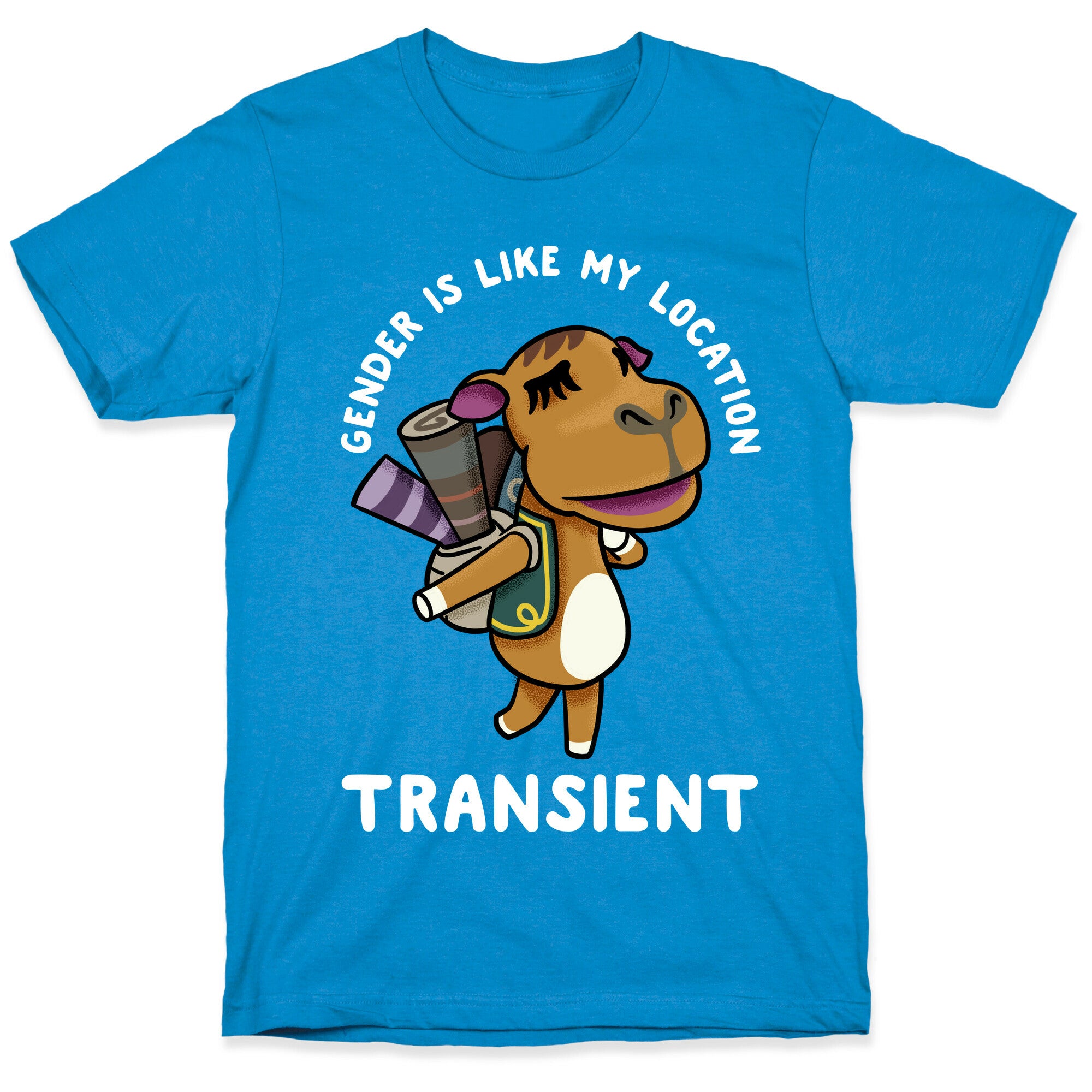 Gender is Like My Location Transient Sahara T-Shirt