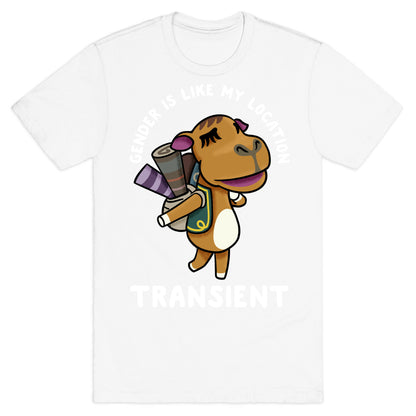 Gender is Like My Location Transient Sahara T-Shirt