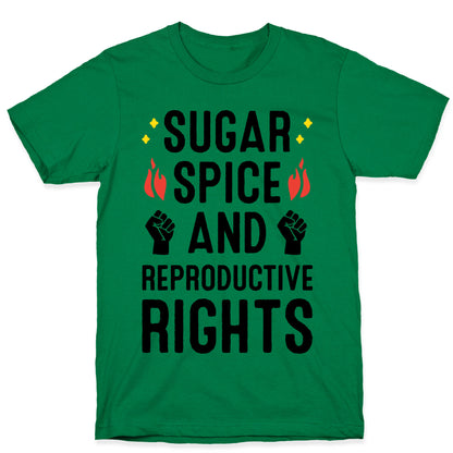 Sugar, Spice, And Reproductive Rights T-Shirt
