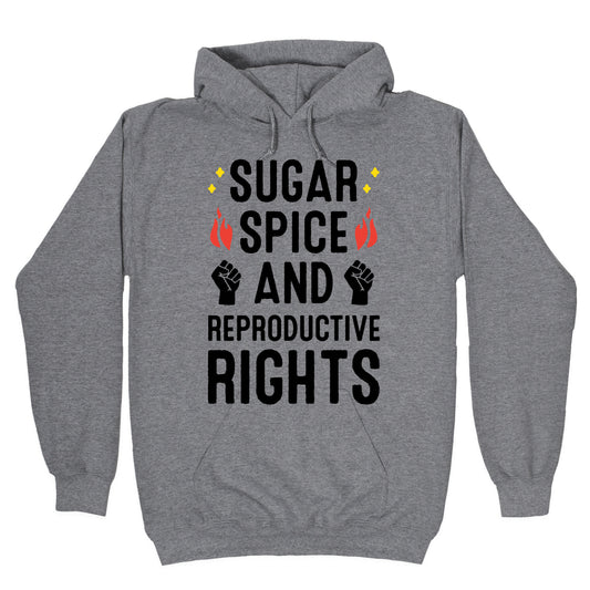 Sugar, Spice, And Reproductive Rights Hoodie