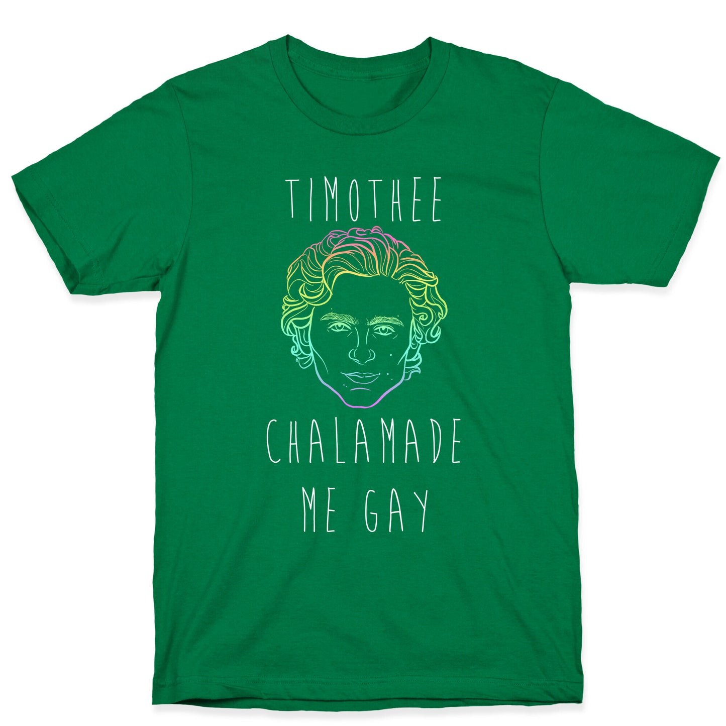 Timothee Chalamet Made Me Gay T-Shirt