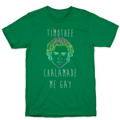 Timothee Chalamet Made Me Gay T-Shirt