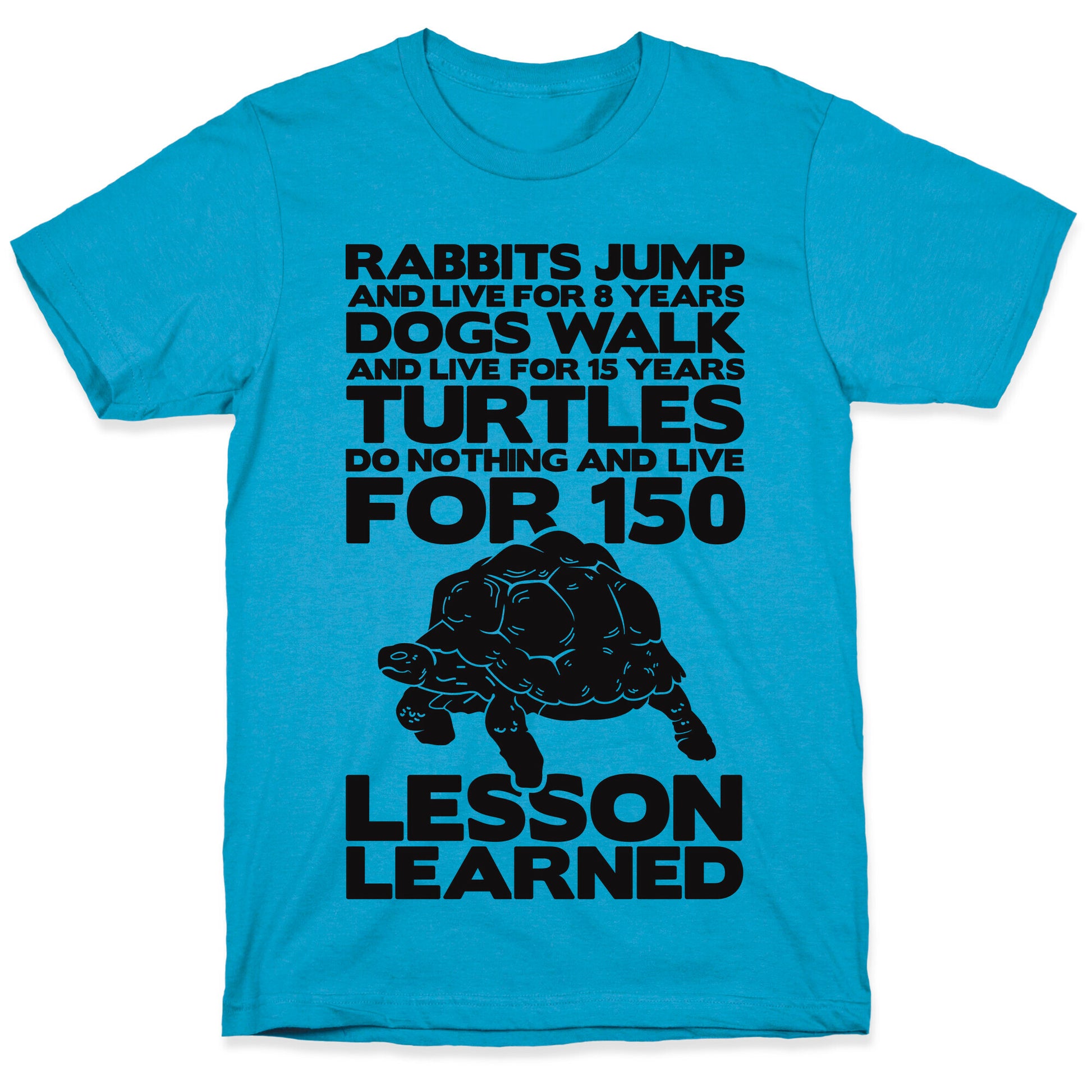 Turtles Do Nothing And Live For 150 Years Unisex Triblend Tee