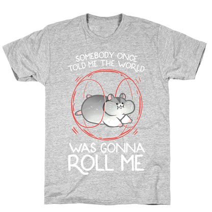 Somebody Once Told Me The World Was Gonna Roll Me T-Shirt