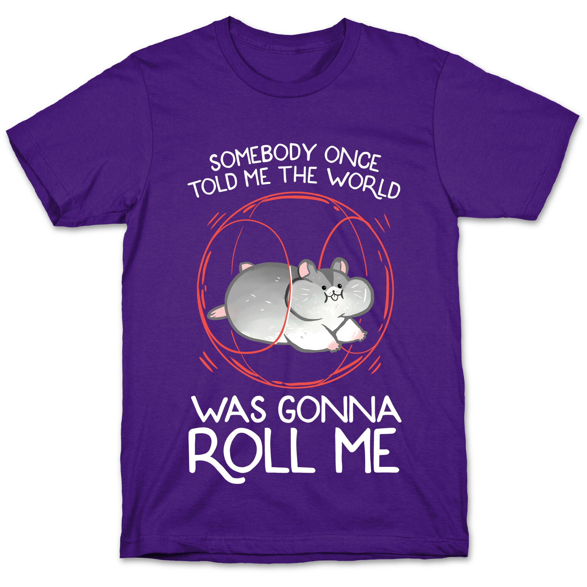 Somebody Once Told Me The World Was Gonna Roll Me T-Shirt
